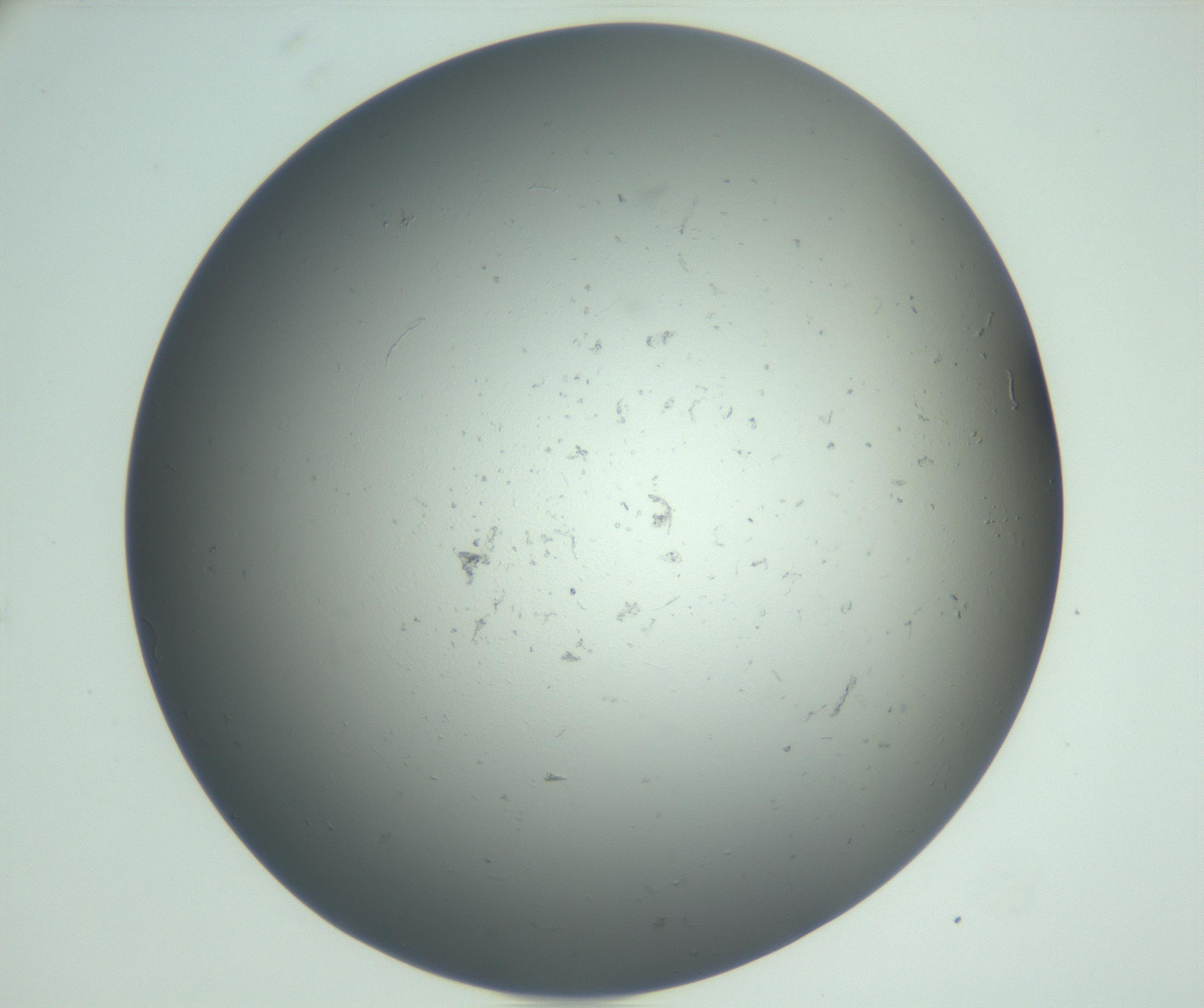 RI01_03_000_0212_Proj1_Clon1_MC_0000MC102864_003_161022_10_06_02_00_99_002_001_RAI.jpg