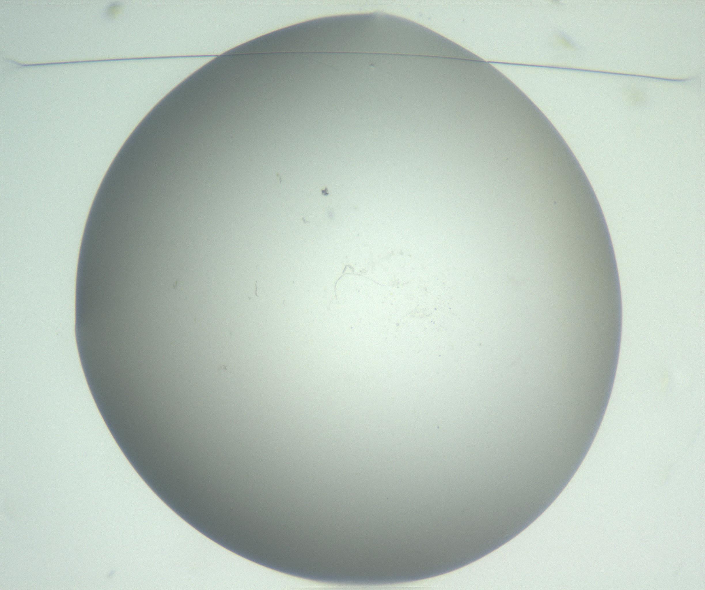 RI01_03_000_0212_Proj1_Clon1_MC_0000MC102864_003_161022_11_01_01_00_99_002_001_RAI.jpg