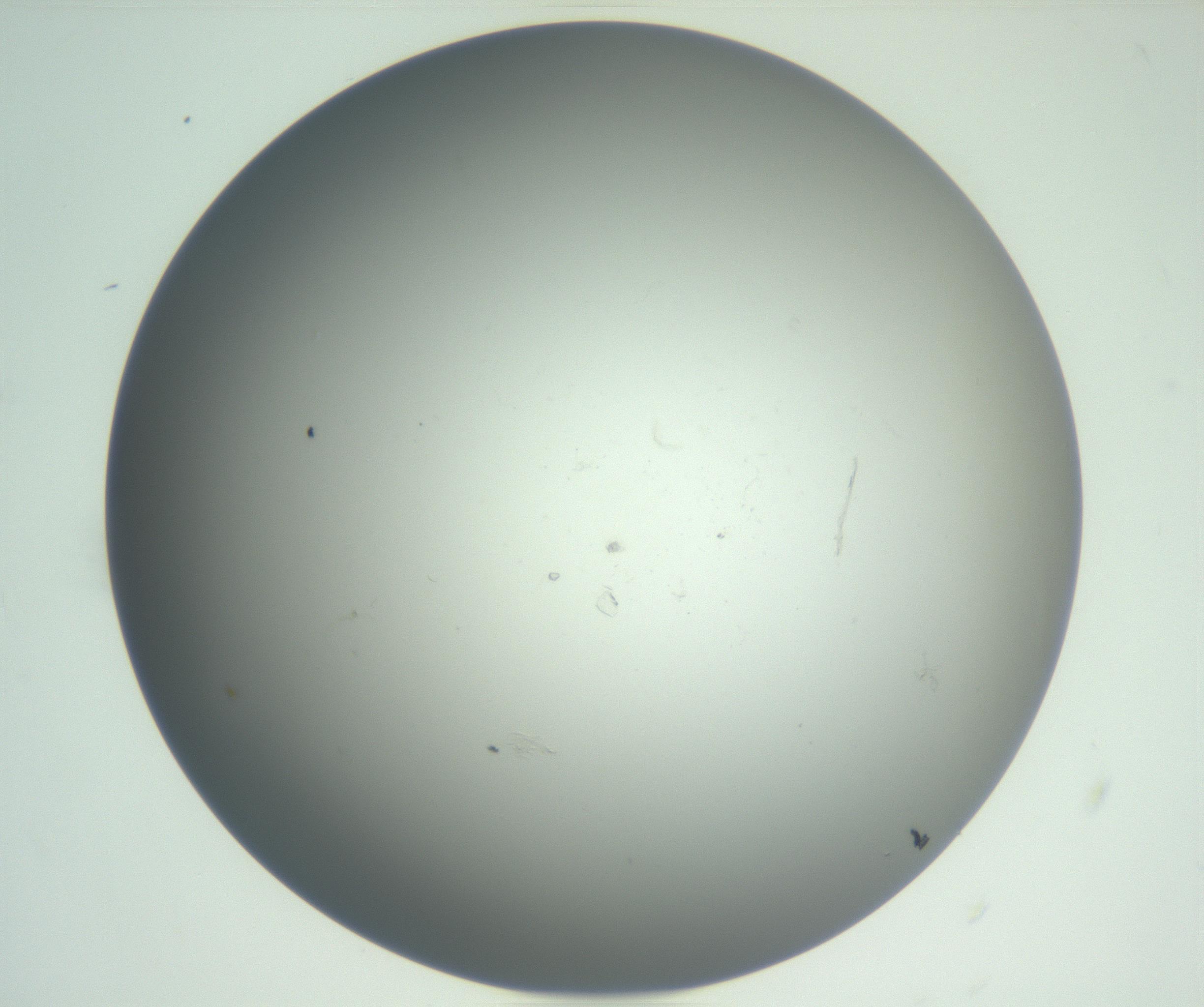 RI01_03_000_0212_Proj1_Clon1_MC_0000MC102864_003_161022_11_01_02_00_99_002_001_RAI.jpg
