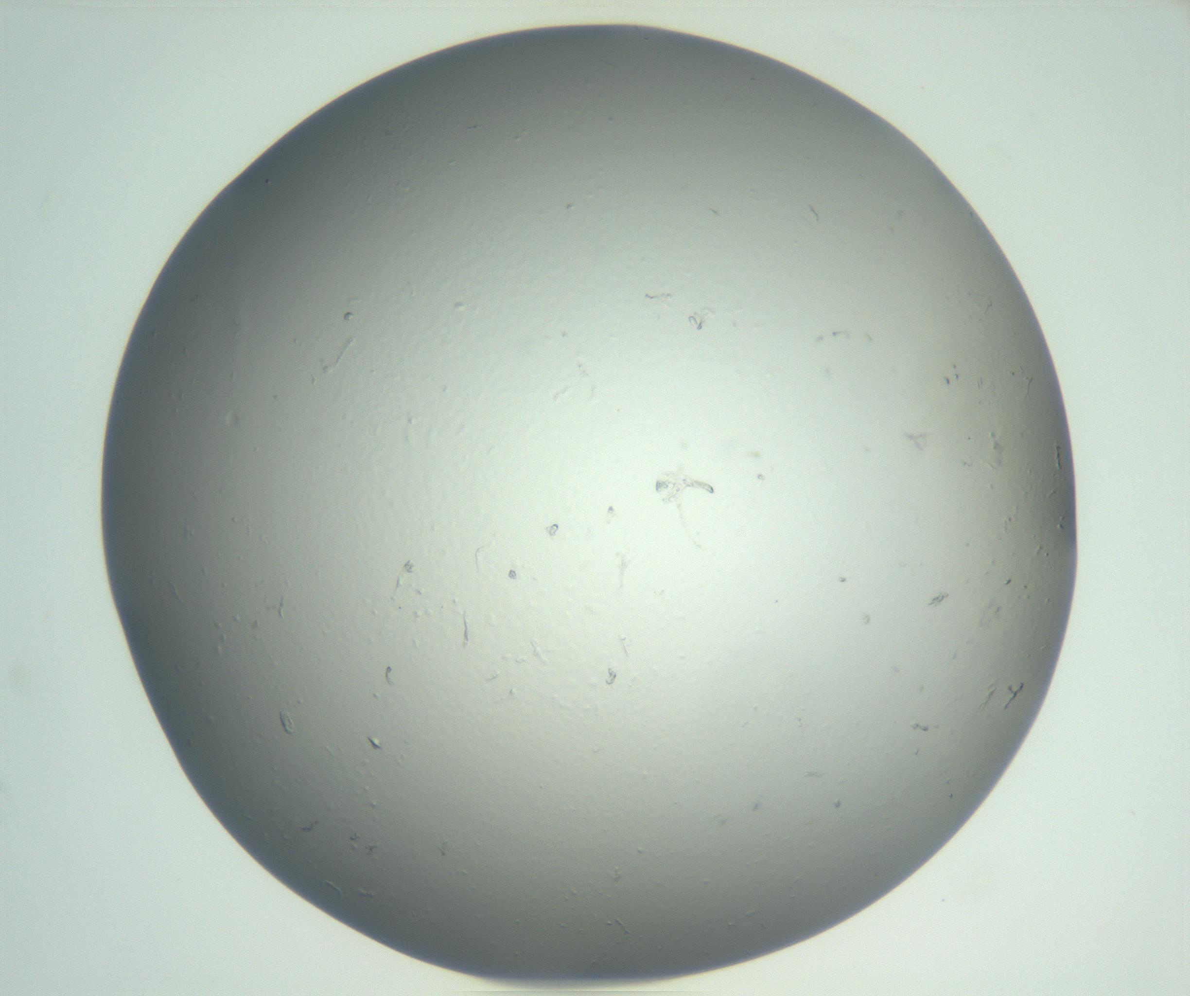 RI01_03_000_0212_Proj1_Clon1_MC_0000MC102864_003_161022_11_02_02_00_99_002_001_RAI.jpg