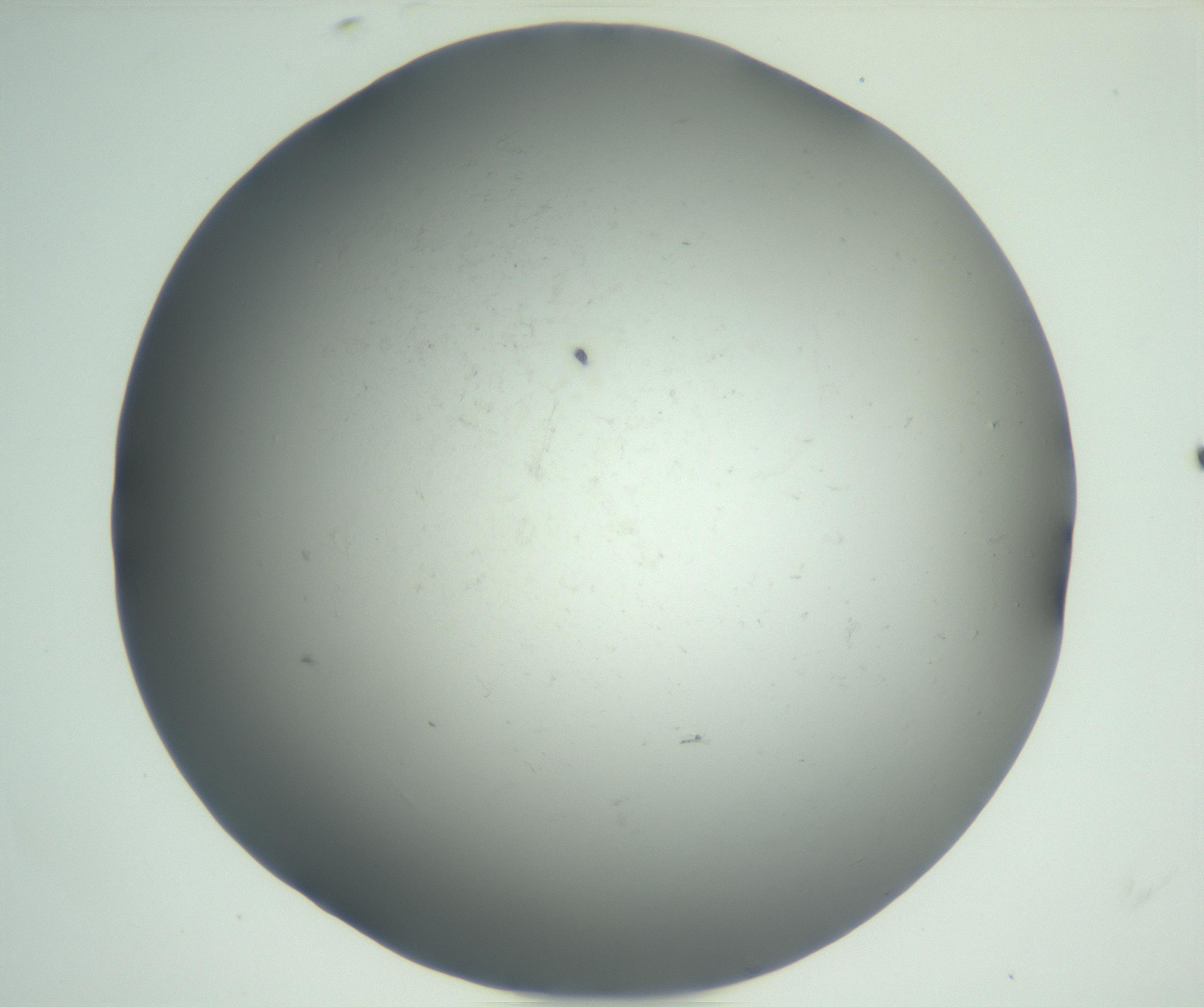 RI01_03_000_0212_Proj1_Clon1_MC_0000MC102864_003_161022_11_04_01_00_99_002_001_RAI.jpg