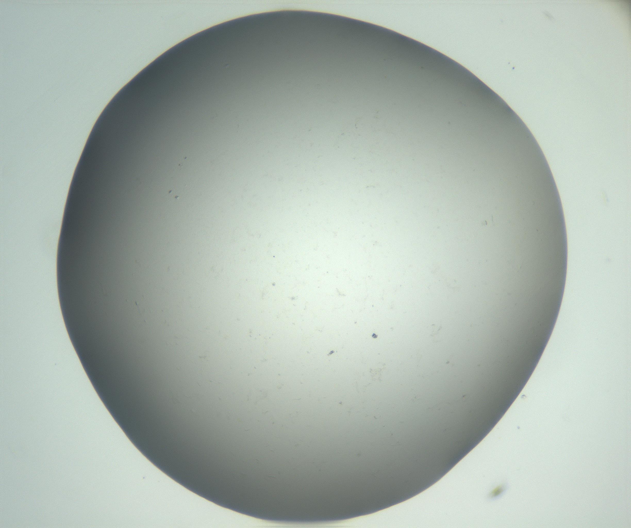 RI01_03_000_0212_Proj1_Clon1_MC_0000MC102864_003_161022_11_04_02_00_99_002_001_RAI.jpg