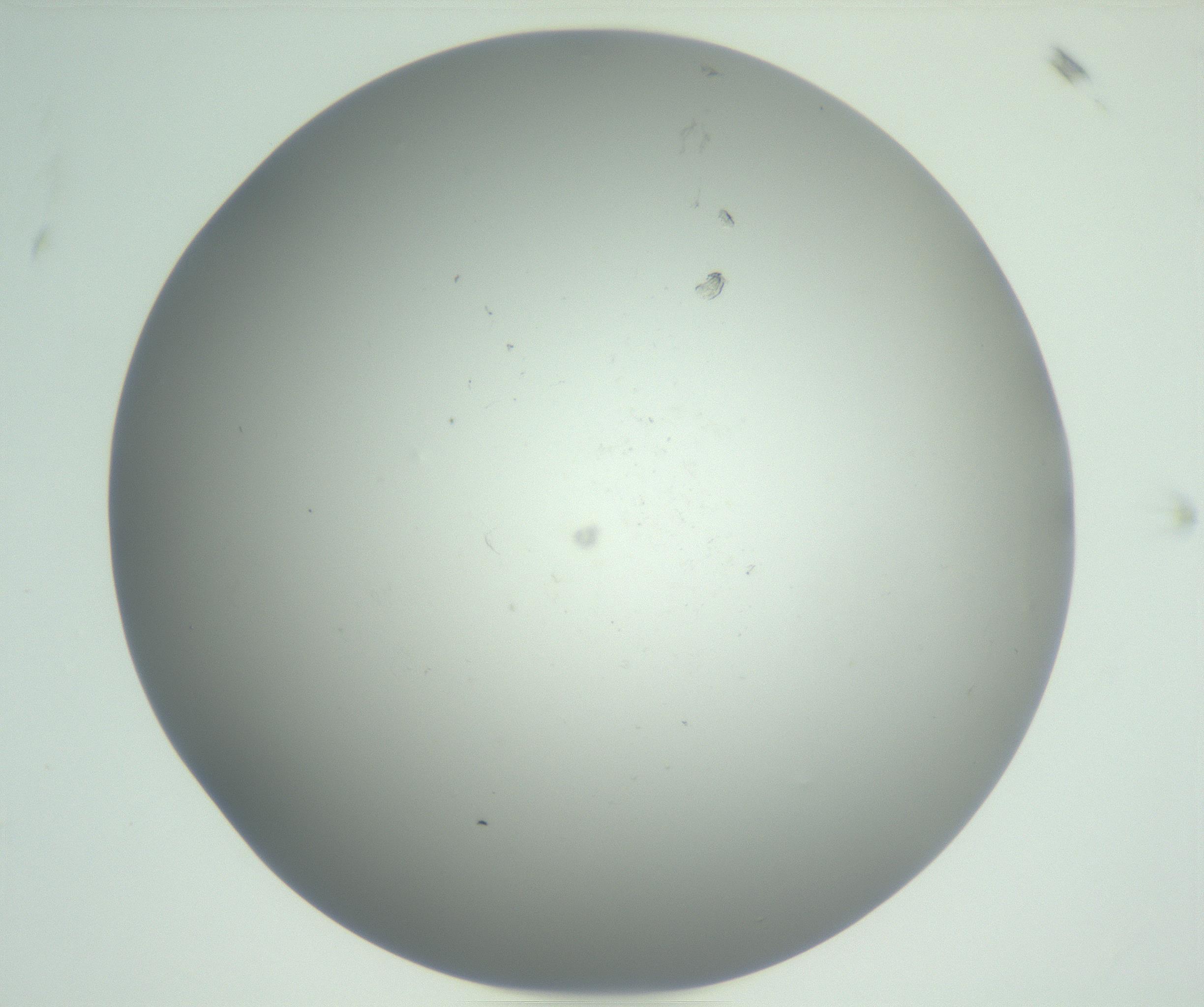 RI01_03_000_0212_Proj1_Clon1_MC_0000MC102864_003_161022_11_05_01_00_99_002_001_RAI.jpg