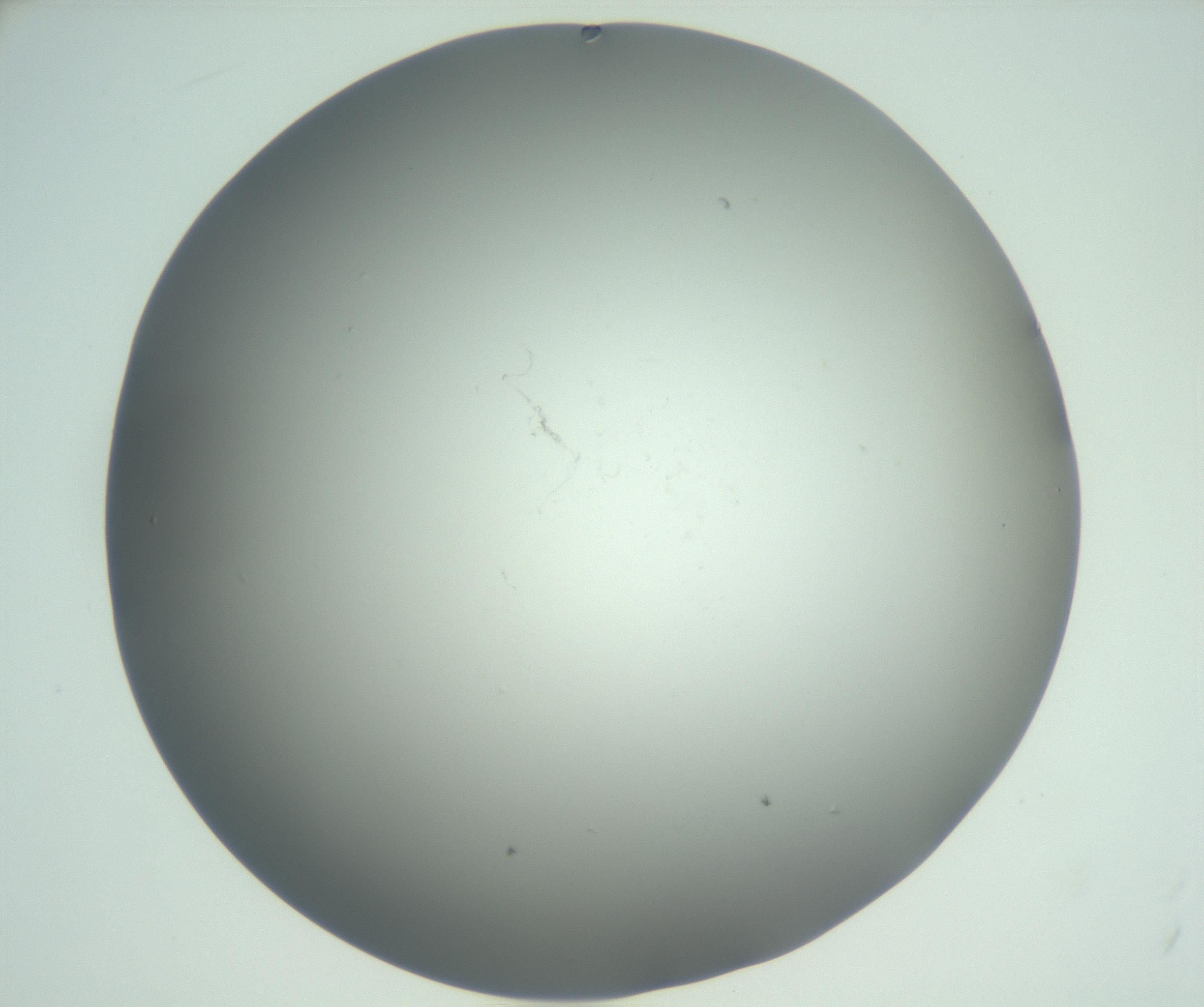 RI01_03_000_0212_Proj1_Clon1_MC_0000MC102864_003_161022_11_05_02_00_99_002_001_RAI.jpg