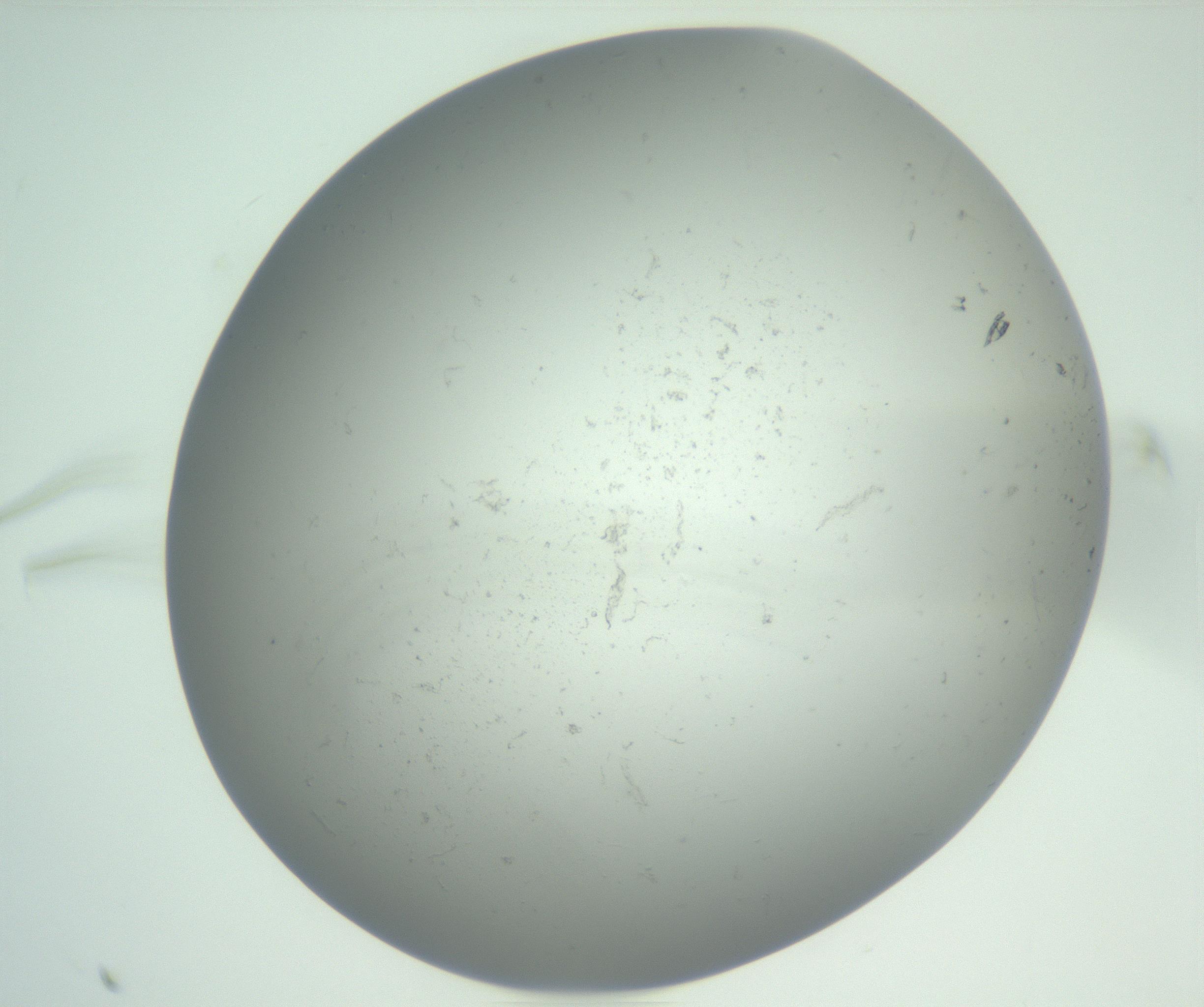 RI01_03_000_0212_Proj1_Clon1_MC_0000MC102864_003_161022_12_01_01_00_99_002_001_RAI.jpg
