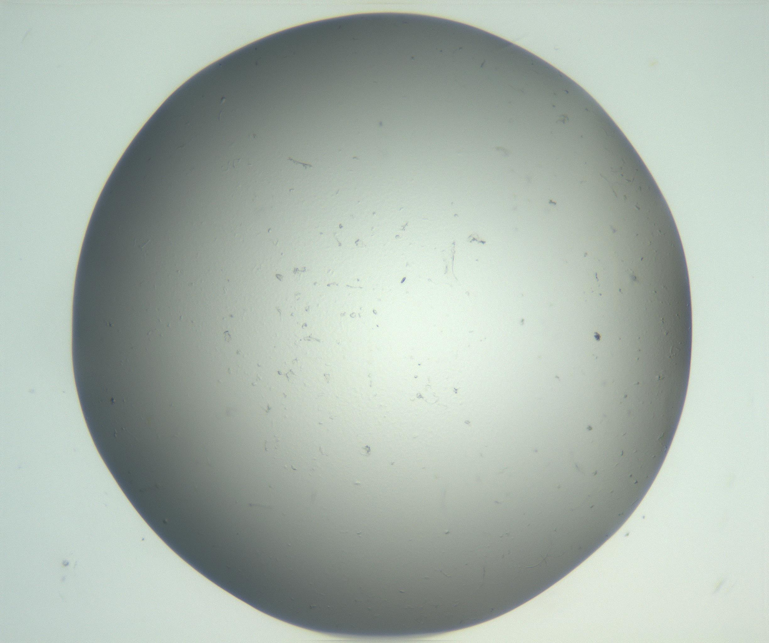 RI01_03_000_0212_Proj1_Clon1_MC_0000MC102864_003_161022_12_02_02_00_99_002_001_RAI.jpg