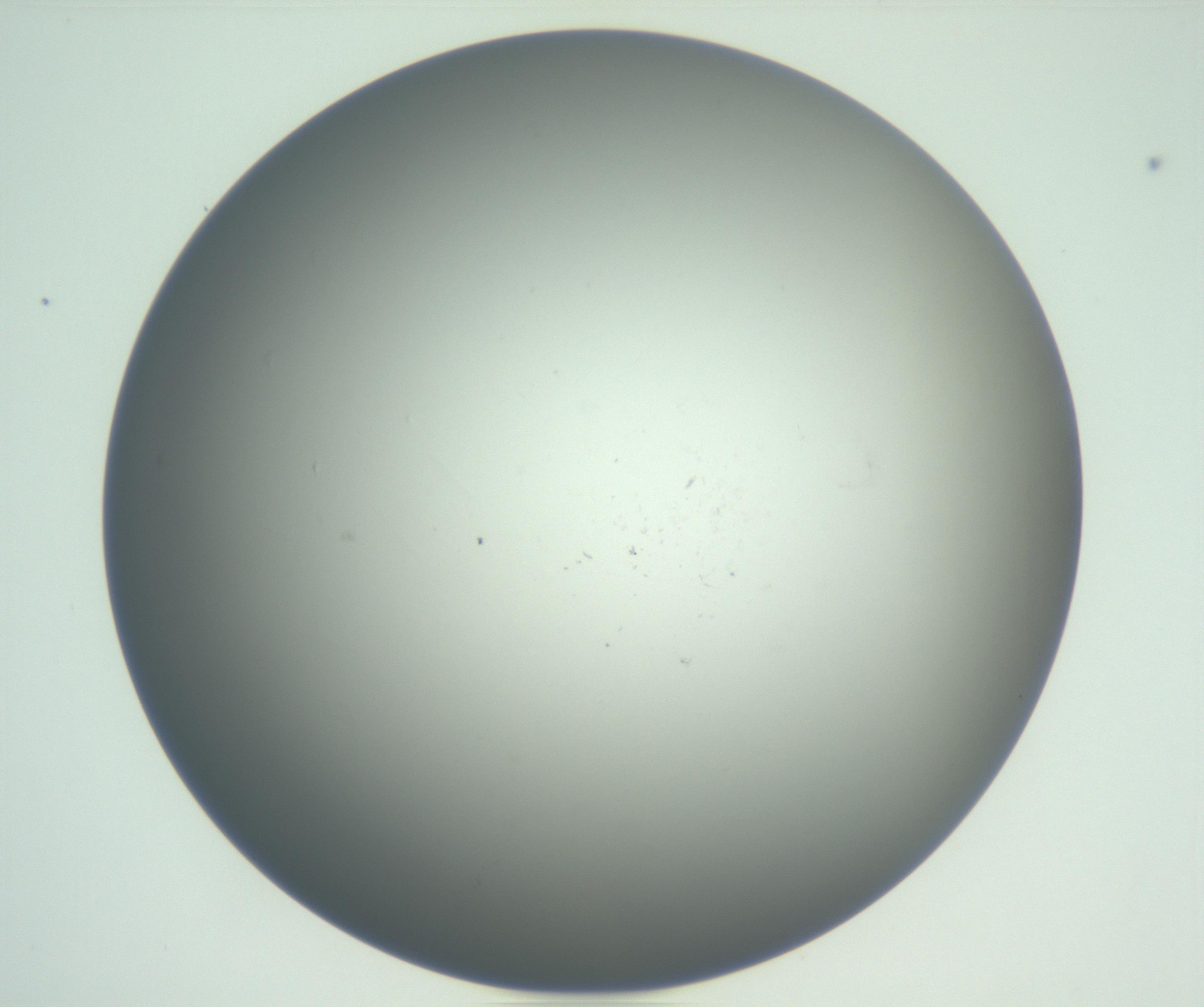 RI01_03_000_0212_Proj1_Clon1_MC_0000MC102864_003_161022_12_04_01_00_99_002_001_RAI.jpg