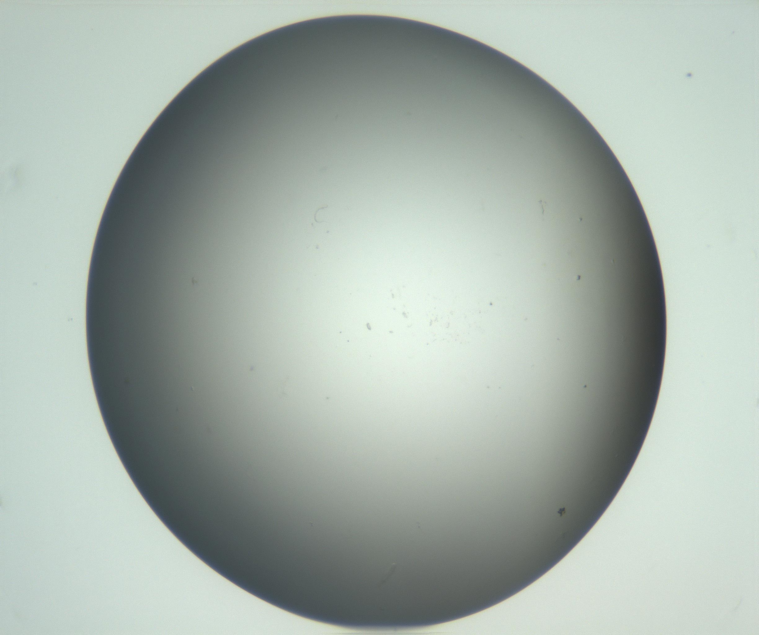 RI01_03_000_0212_Proj1_Clon1_MC_0000MC102864_003_161022_12_04_02_00_99_002_001_RAI.jpg