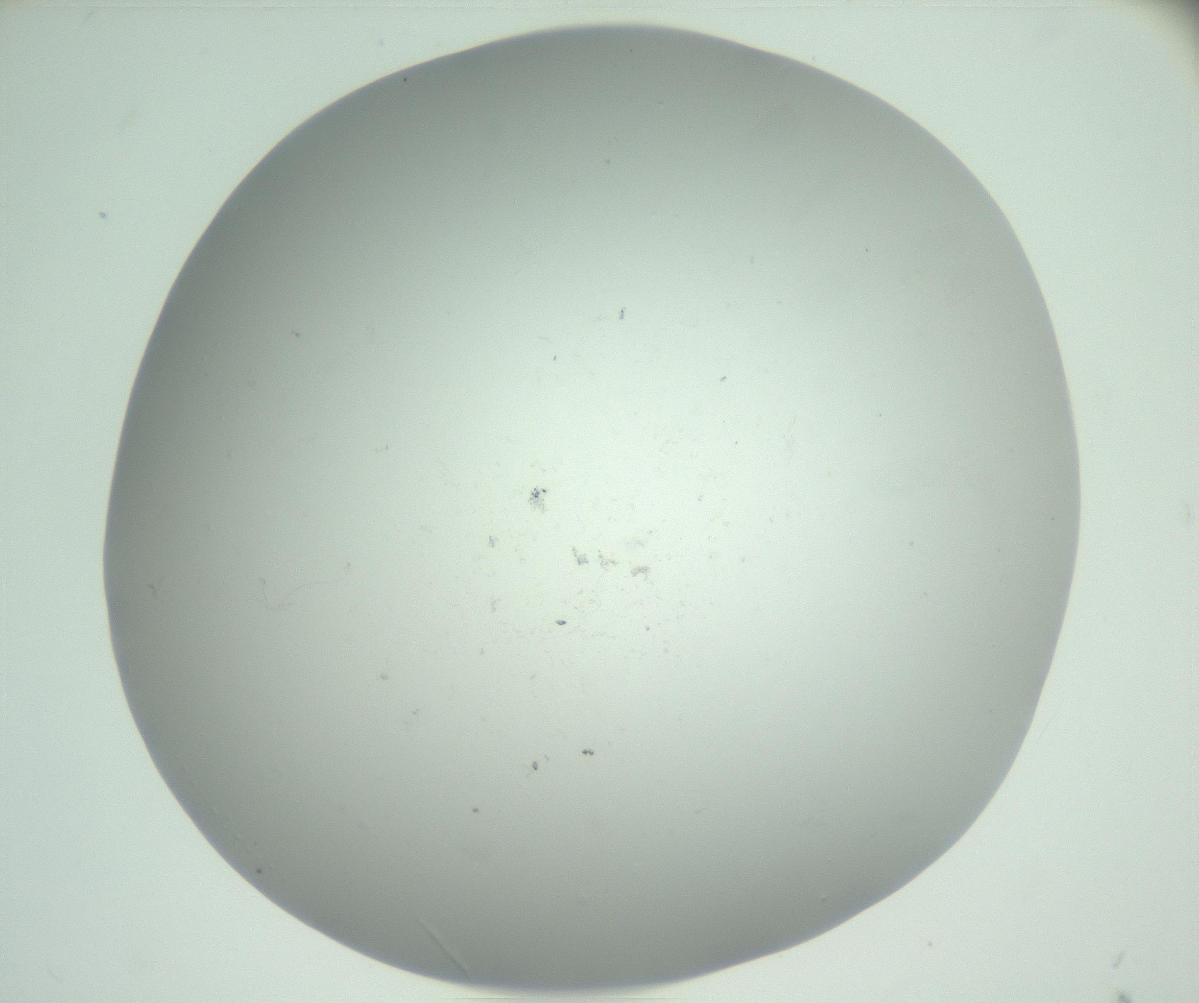 RI01_03_000_0212_Proj1_Clon1_MC_0000MC102864_003_161022_12_06_01_00_99_002_001_RAI.jpg