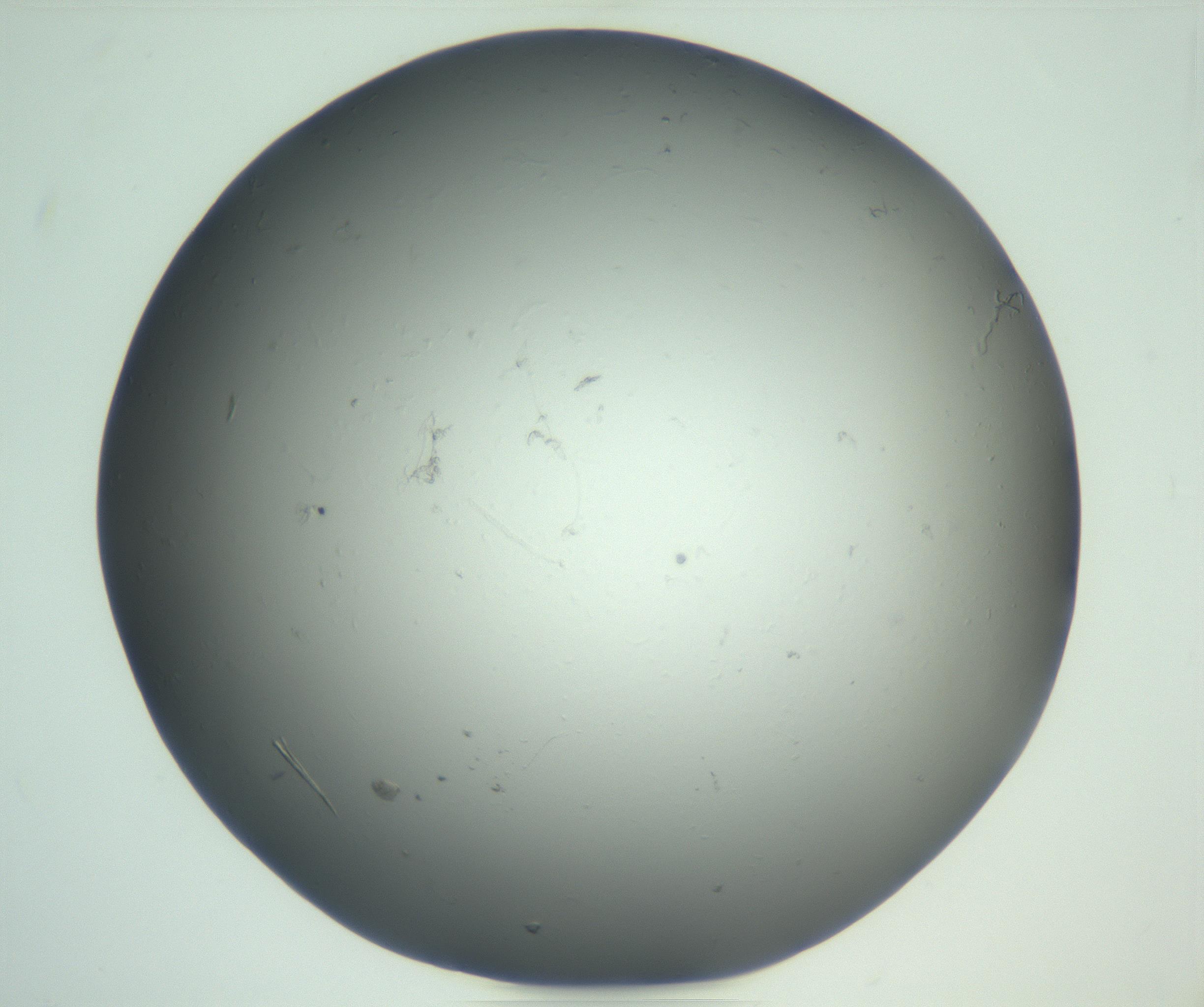 RI01_03_000_0212_Proj1_Clon1_MC_0000MC102864_004_161024_02_02_01_00_99_002_001_RAI.jpg