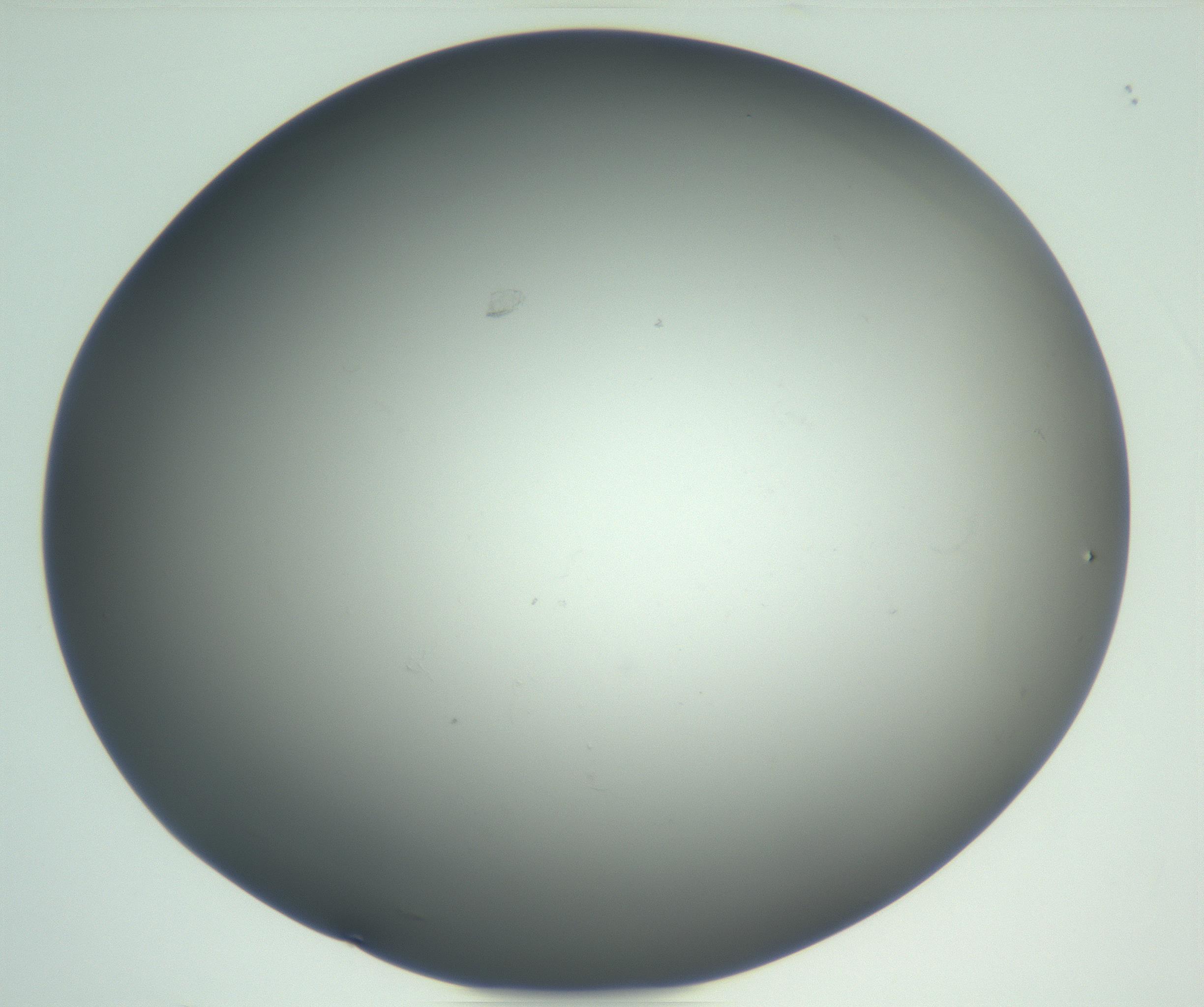 RI01_03_000_0212_Proj1_Clon1_MC_0000MC102865_003_161022_01_01_02_00_99_002_001_RAI.jpg