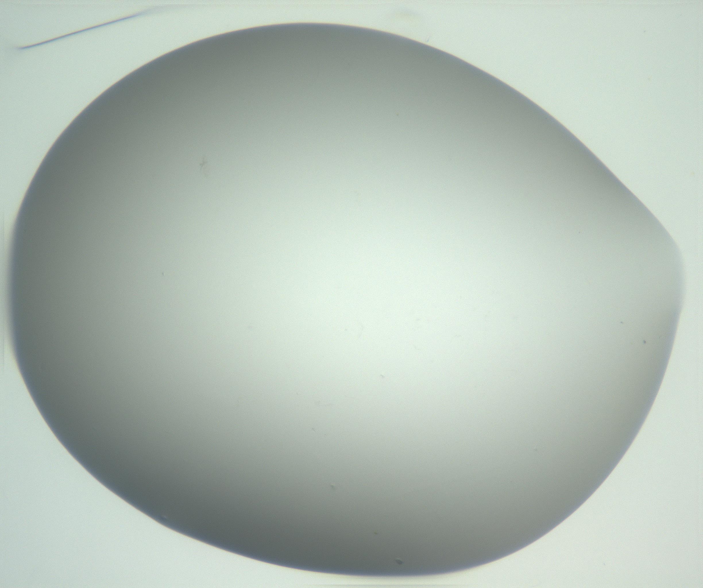 RI01_03_000_0212_Proj1_Clon1_MC_0000MC102865_003_161022_01_02_01_00_99_002_001_RAI.jpg