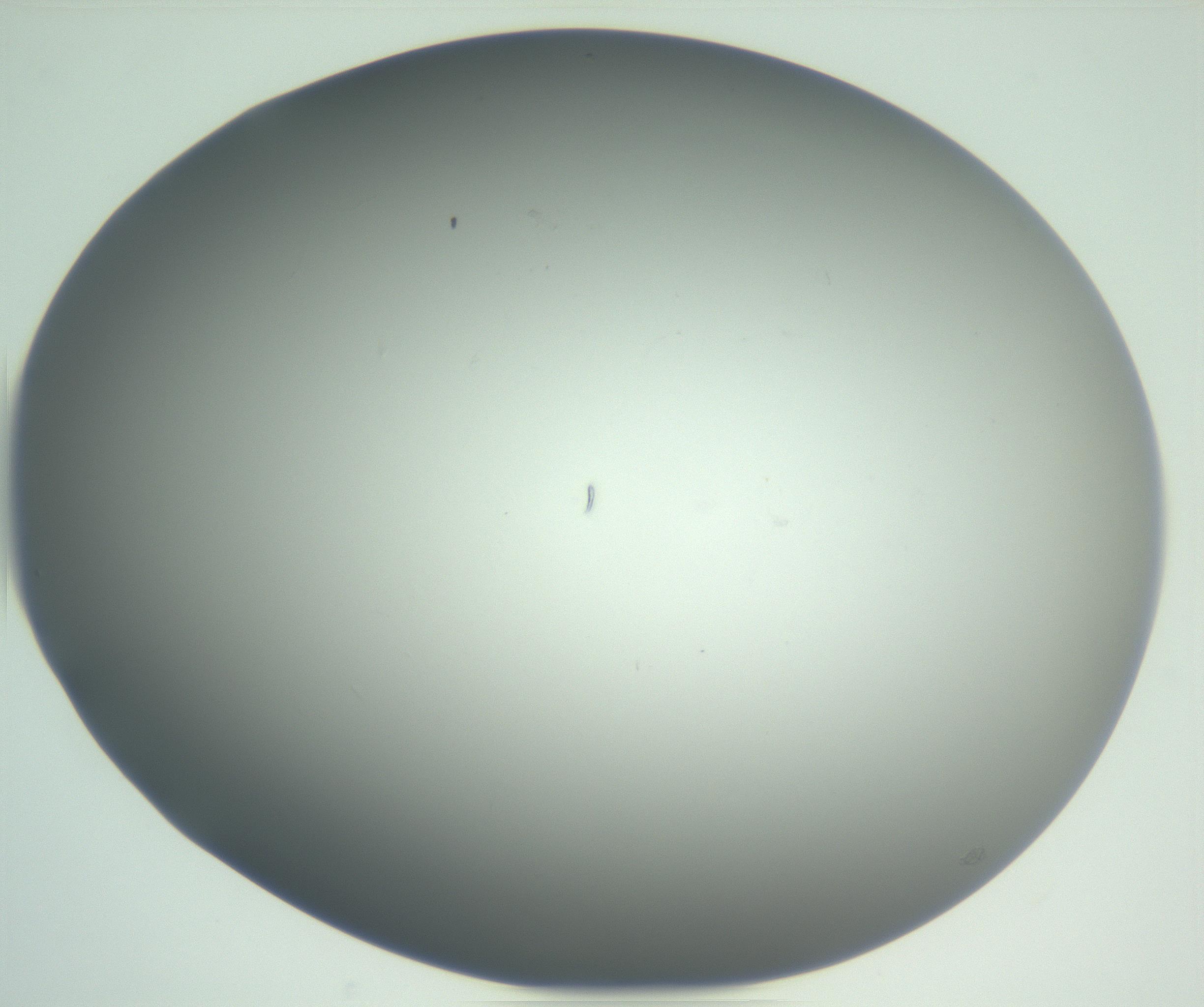 RI01_03_000_0212_Proj1_Clon1_MC_0000MC102865_003_161022_01_02_02_00_99_002_001_RAI.jpg