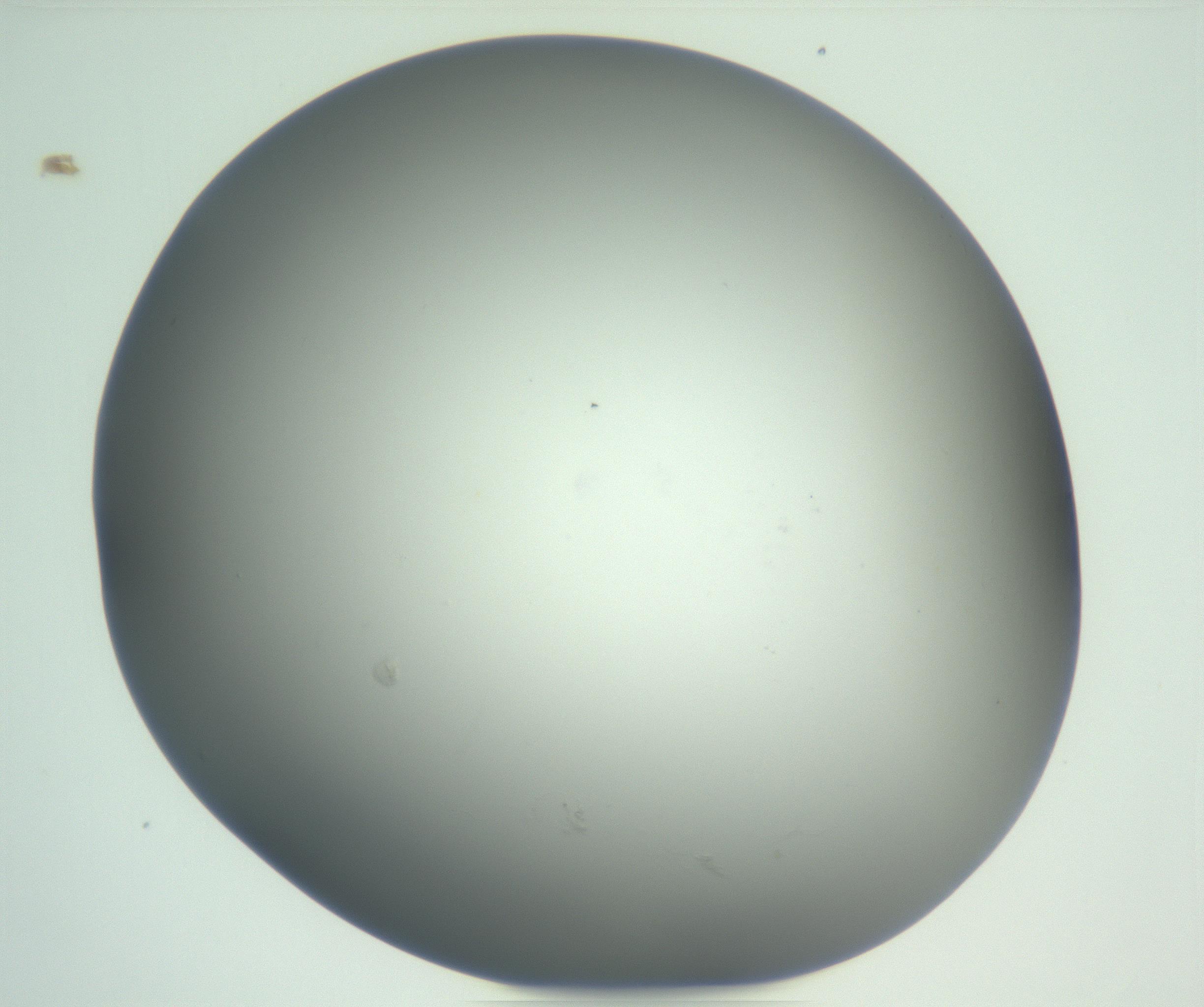 RI01_03_000_0212_Proj1_Clon1_MC_0000MC102865_003_161022_01_03_01_00_99_002_001_RAI.jpg