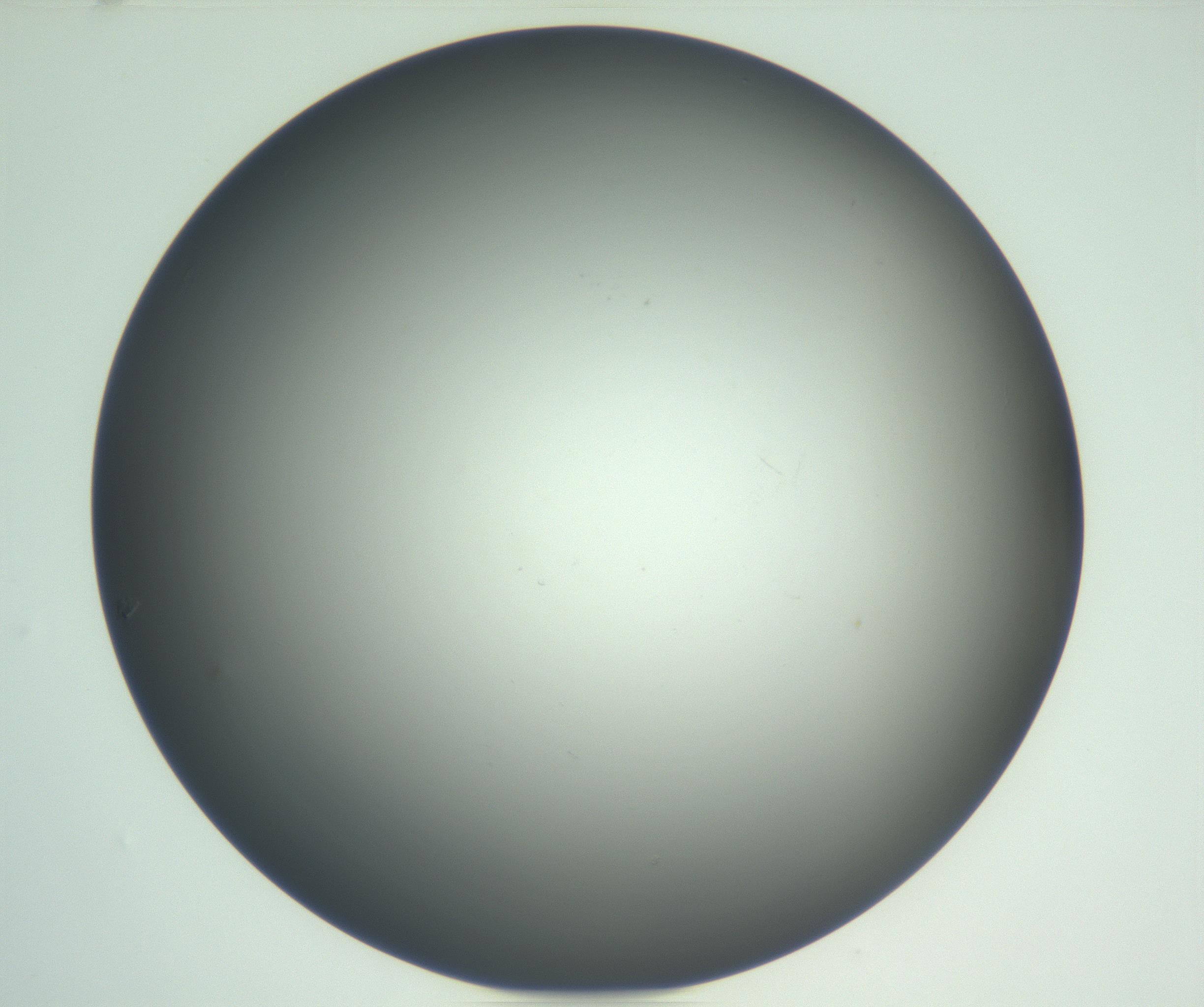 RI01_03_000_0212_Proj1_Clon1_MC_0000MC102865_003_161022_01_03_02_00_99_002_001_RAI.jpg