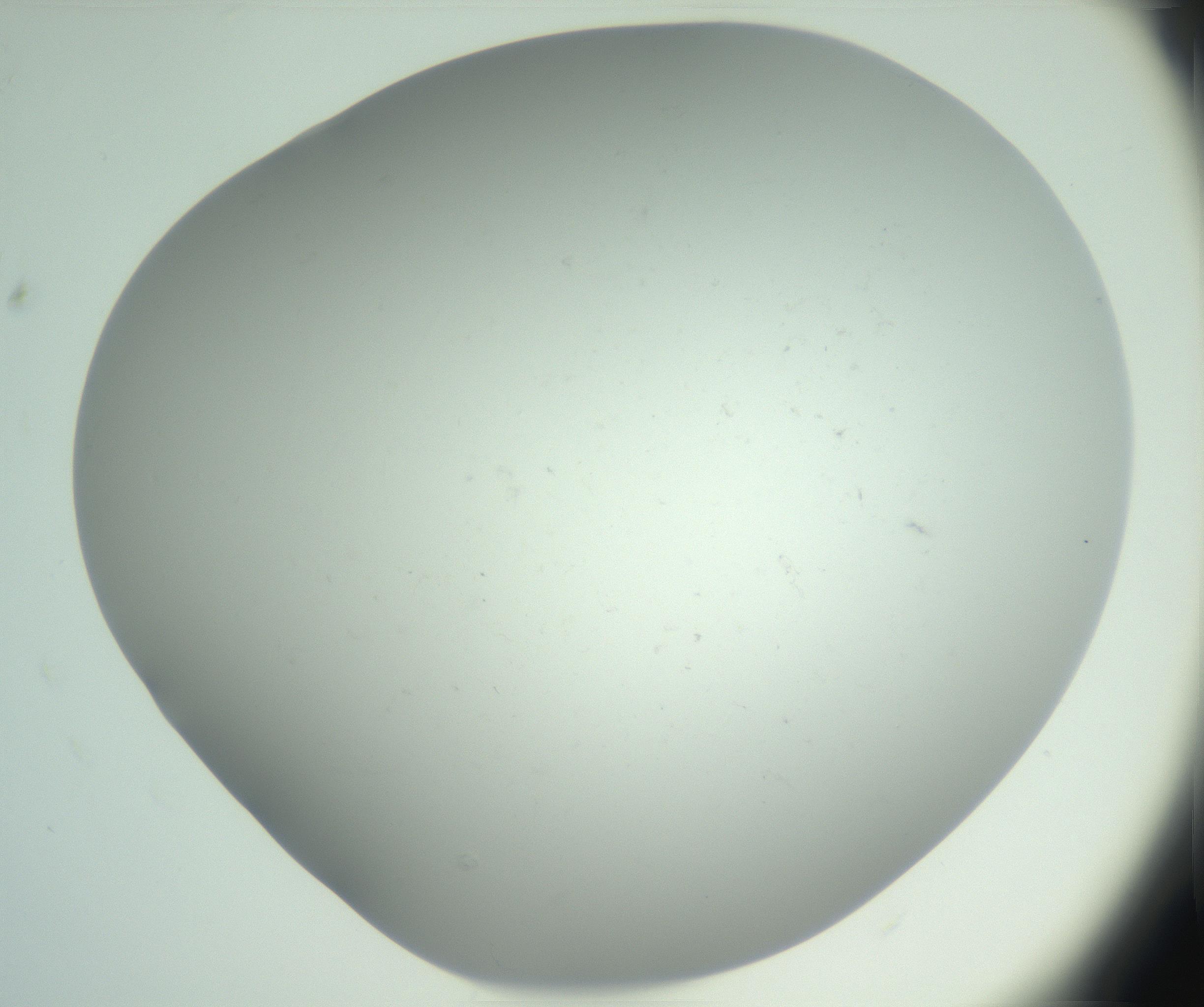 RI01_03_000_0212_Proj1_Clon1_MC_0000MC102865_003_161022_01_04_02_00_99_002_001_RAI.jpg