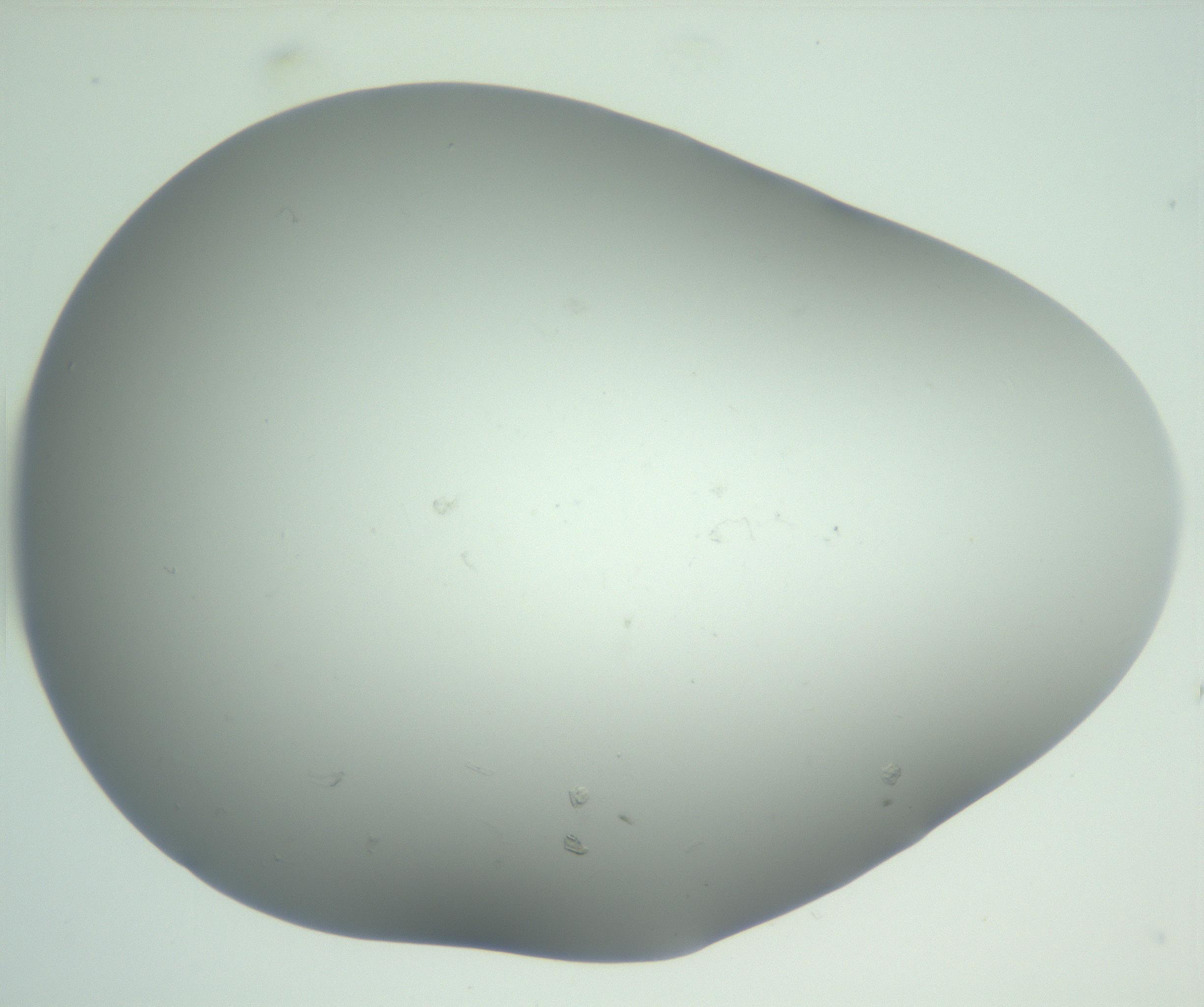 RI01_03_000_0212_Proj1_Clon1_MC_0000MC102865_003_161022_01_05_01_00_99_002_001_RAI.jpg