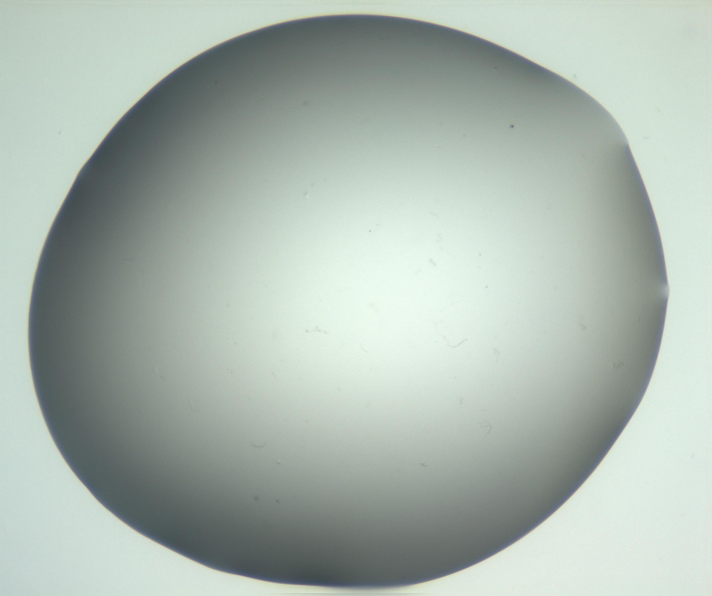 RI01_03_000_0212_Proj1_Clon1_MC_0000MC102865_003_161022_01_05_02_00_99_002_001_RAI.jpg