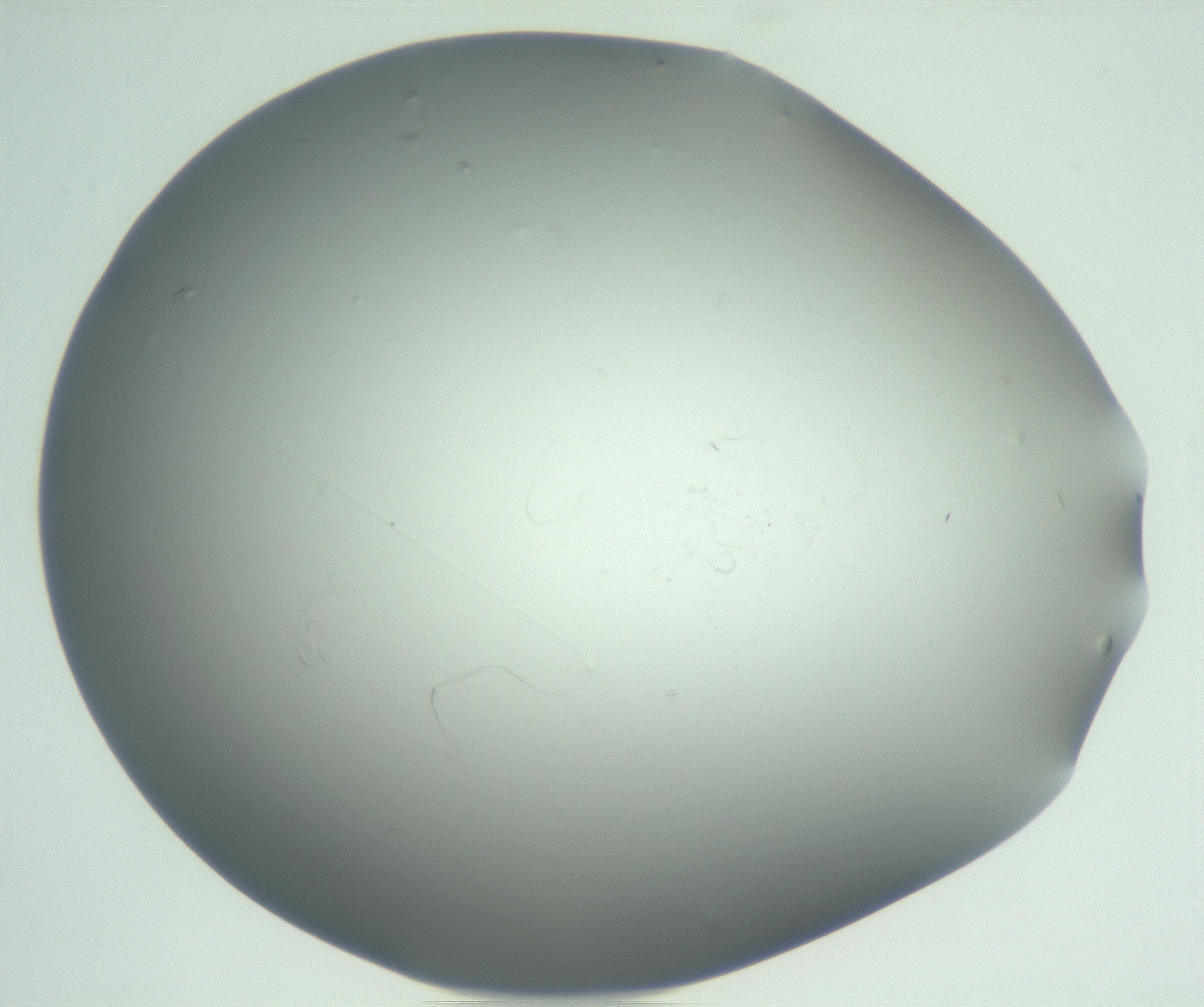 RI01_03_000_0212_Proj1_Clon1_MC_0000MC102865_003_161022_01_07_01_00_99_002_001_RAI.jpg