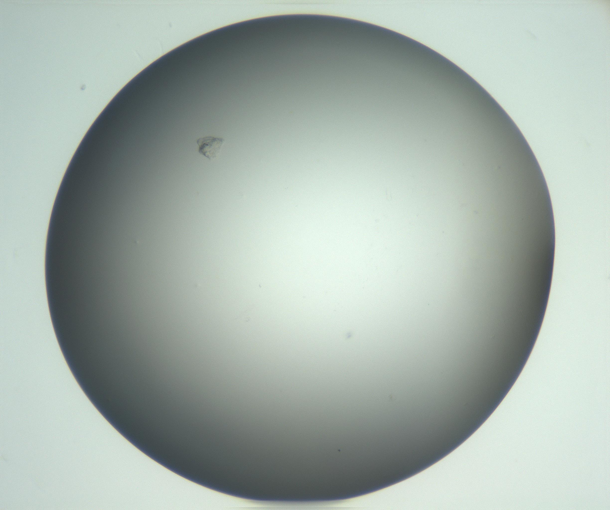 RI01_03_000_0212_Proj1_Clon1_MC_0000MC102865_003_161022_01_07_02_00_99_002_001_RAI.jpg