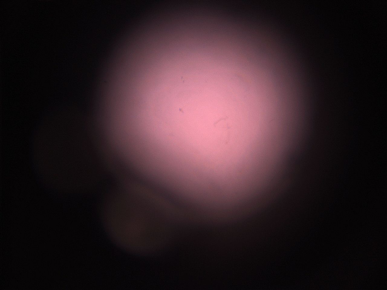 05i3_P4_ImagerDefaults_1.jpg