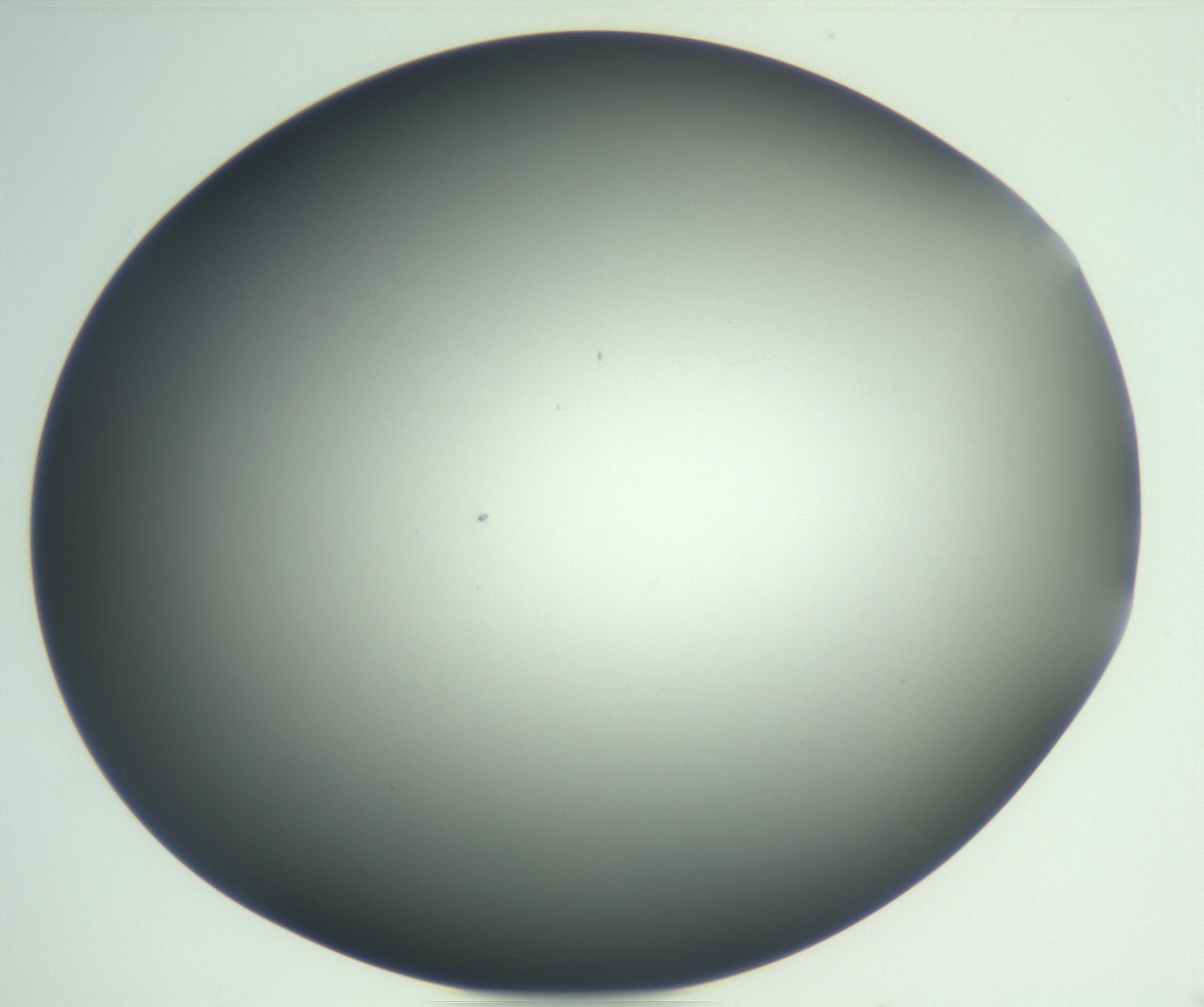 RI01_03_000_0212_Proj1_Clon1_MC_0000MC102865_003_161022_01_08_02_00_99_002_001_RAI.jpg
