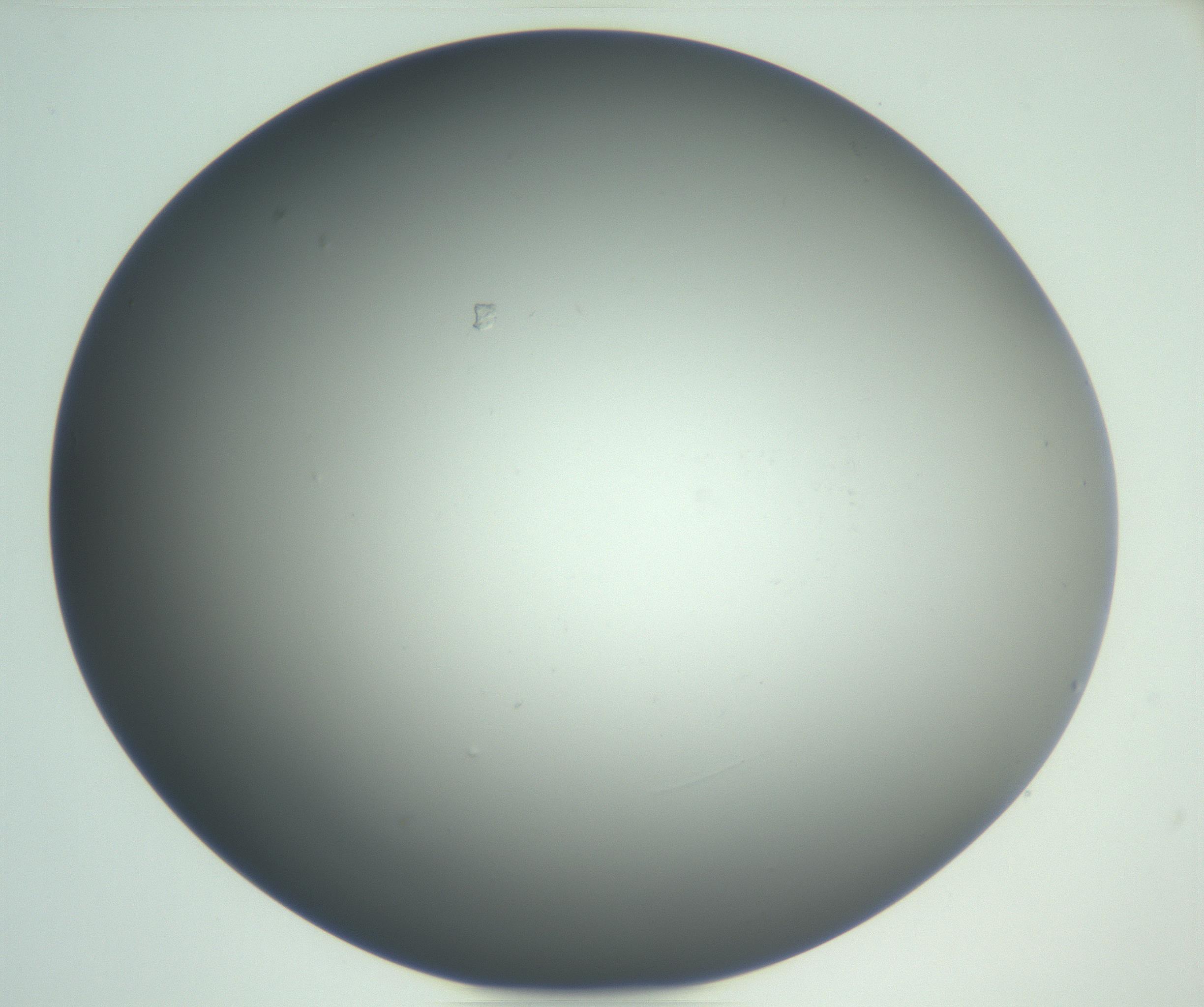 RI01_03_000_0212_Proj1_Clon1_MC_0000MC102865_003_161022_02_01_02_00_99_002_001_RAI.jpg