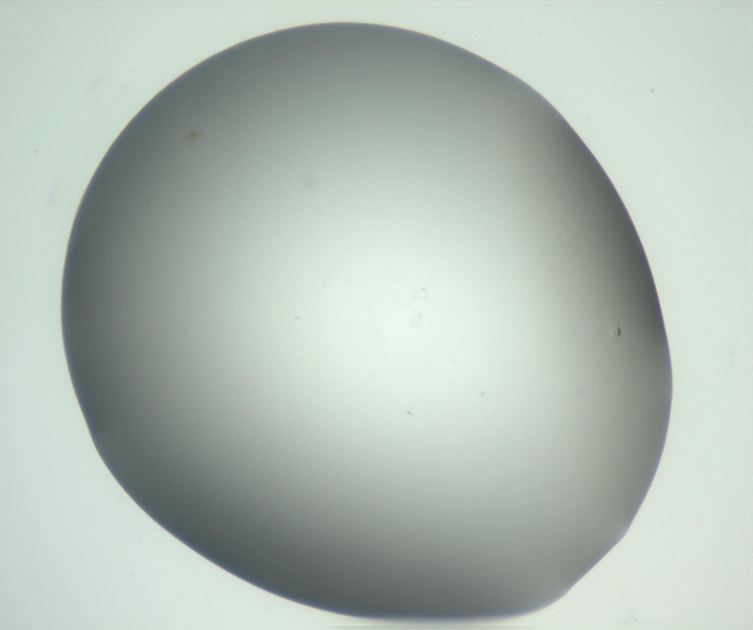 RI01_03_000_0212_Proj1_Clon1_MC_0000MC102865_003_161022_02_02_01_00_99_002_001_RAI.jpg