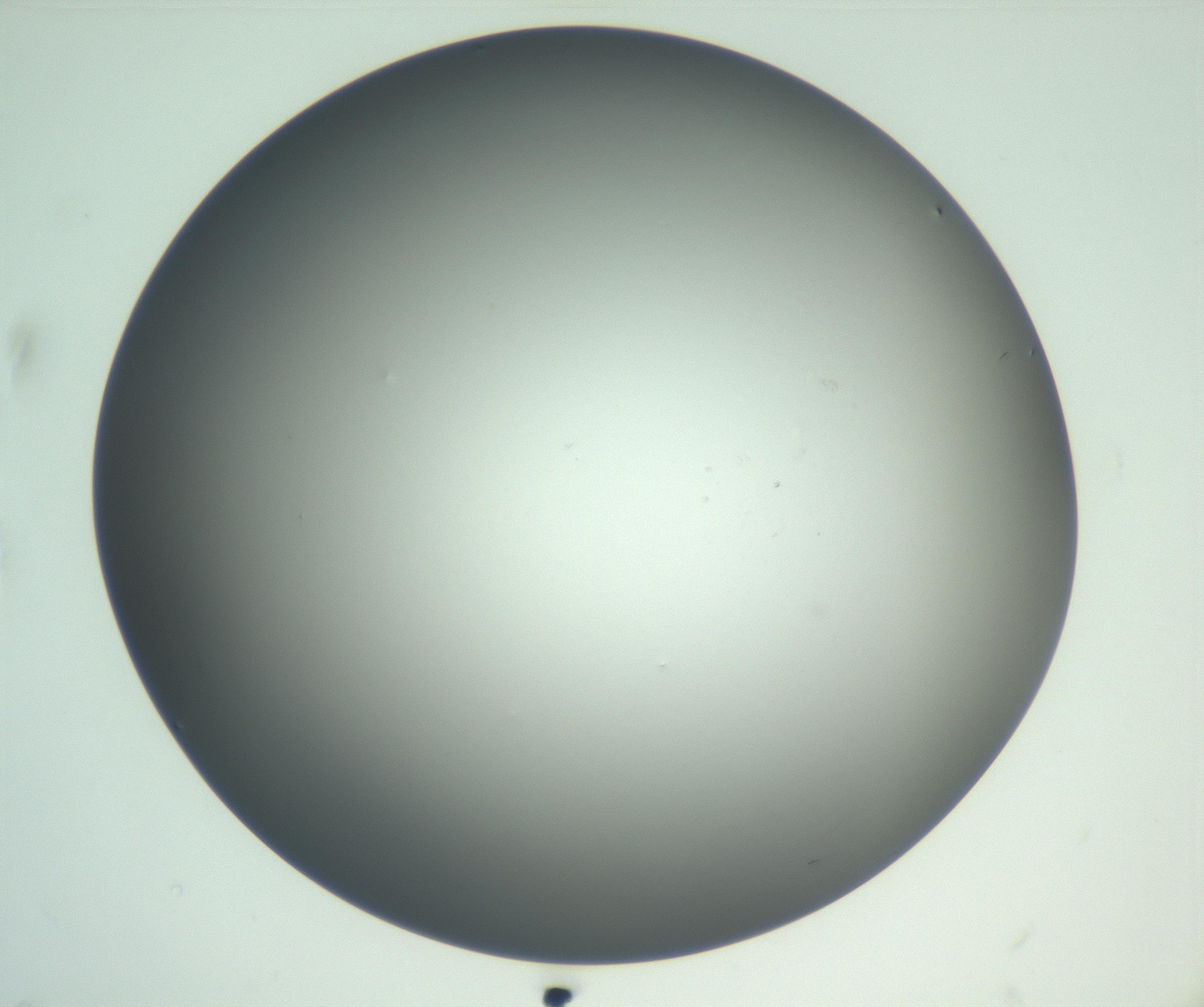 RI01_03_000_0212_Proj1_Clon1_MC_0000MC102865_003_161022_02_02_02_00_99_002_001_RAI.jpg