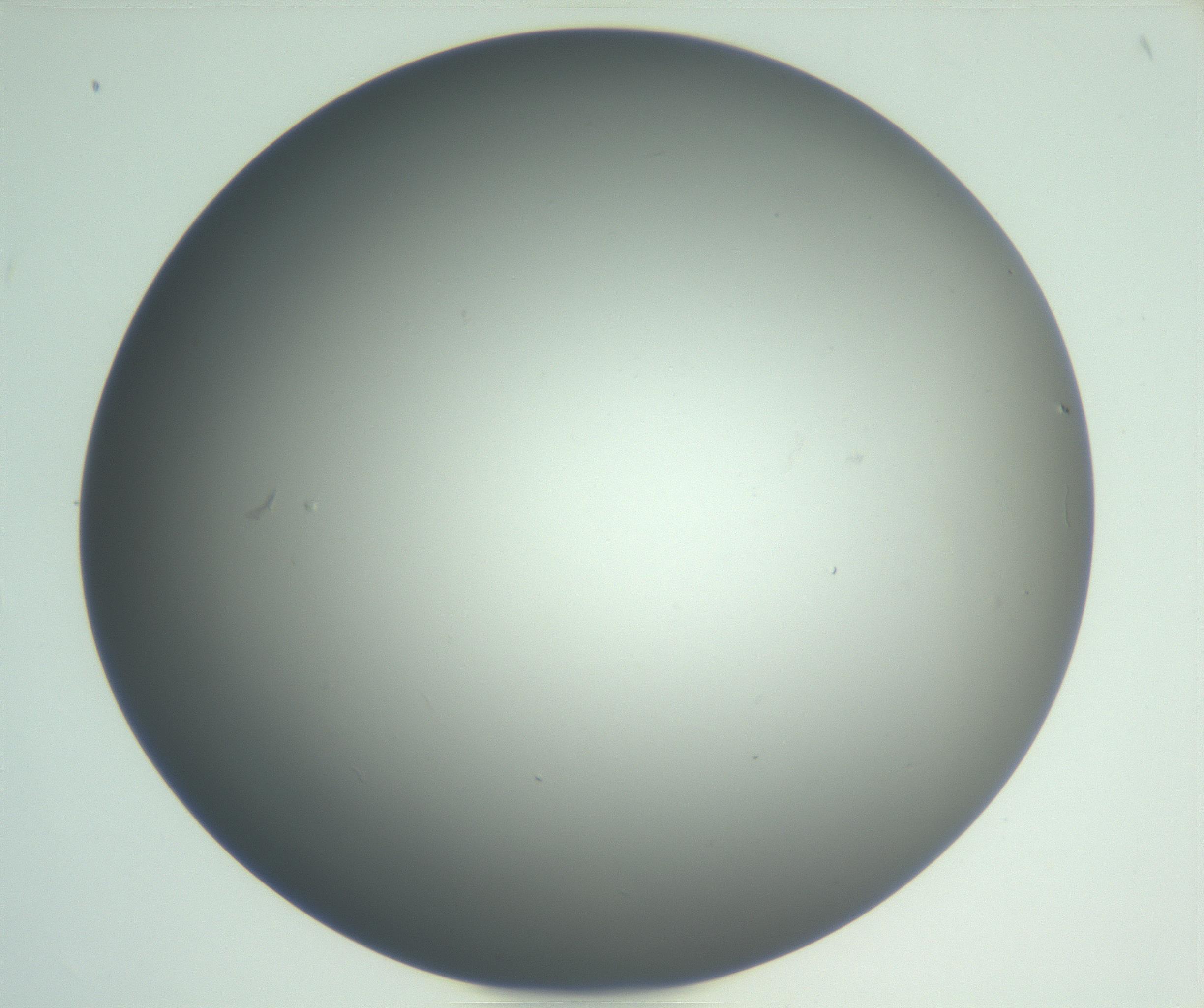 RI01_03_000_0212_Proj1_Clon1_MC_0000MC102865_003_161022_02_03_02_00_99_002_001_RAI.jpg