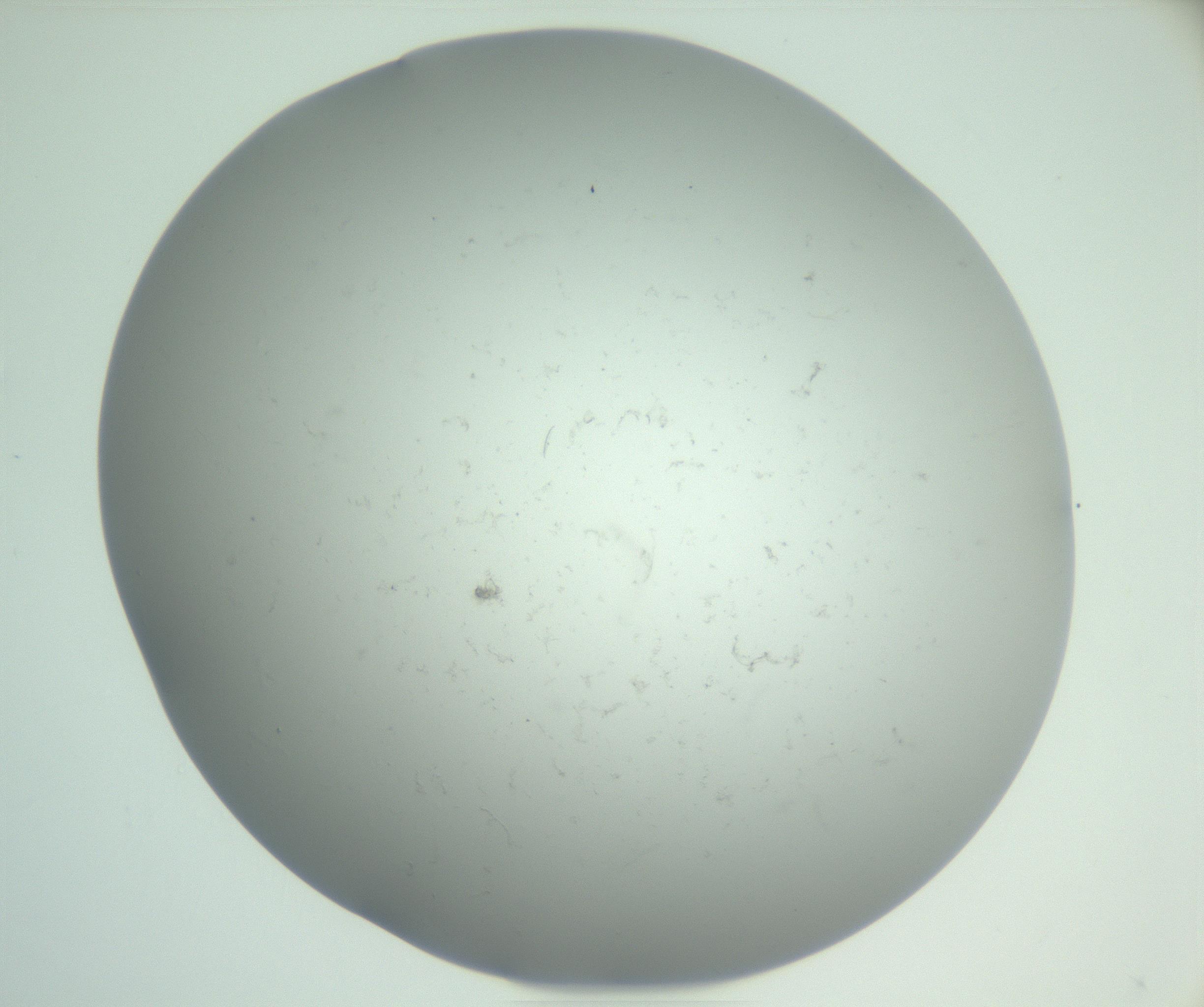 RI01_03_000_0212_Proj1_Clon1_MC_0000MC102865_003_161022_02_04_01_00_99_002_001_RAI.jpg