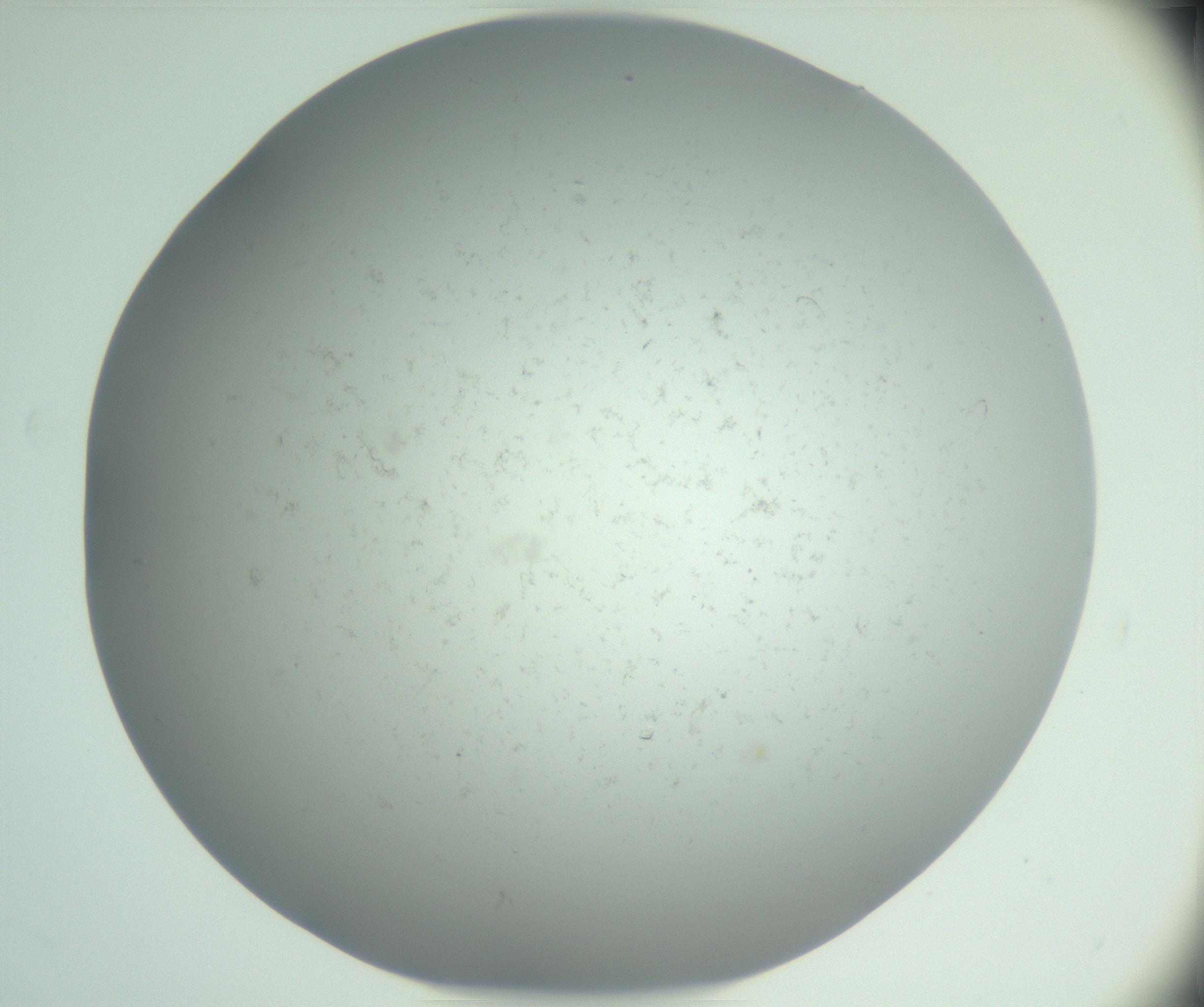 RI01_03_000_0212_Proj1_Clon1_MC_0000MC102865_003_161022_02_04_02_00_99_002_001_RAI.jpg