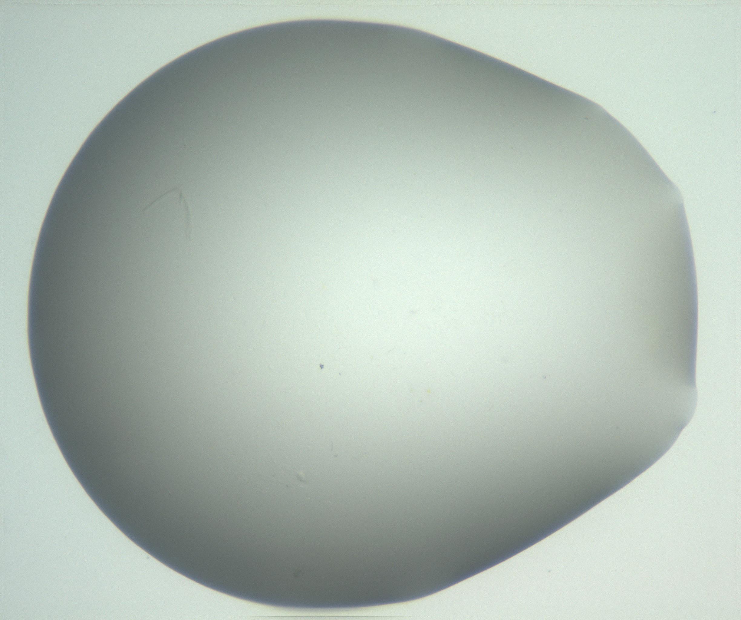 RI01_03_000_0212_Proj1_Clon1_MC_0000MC102865_003_161022_02_08_01_00_99_002_001_RAI.jpg