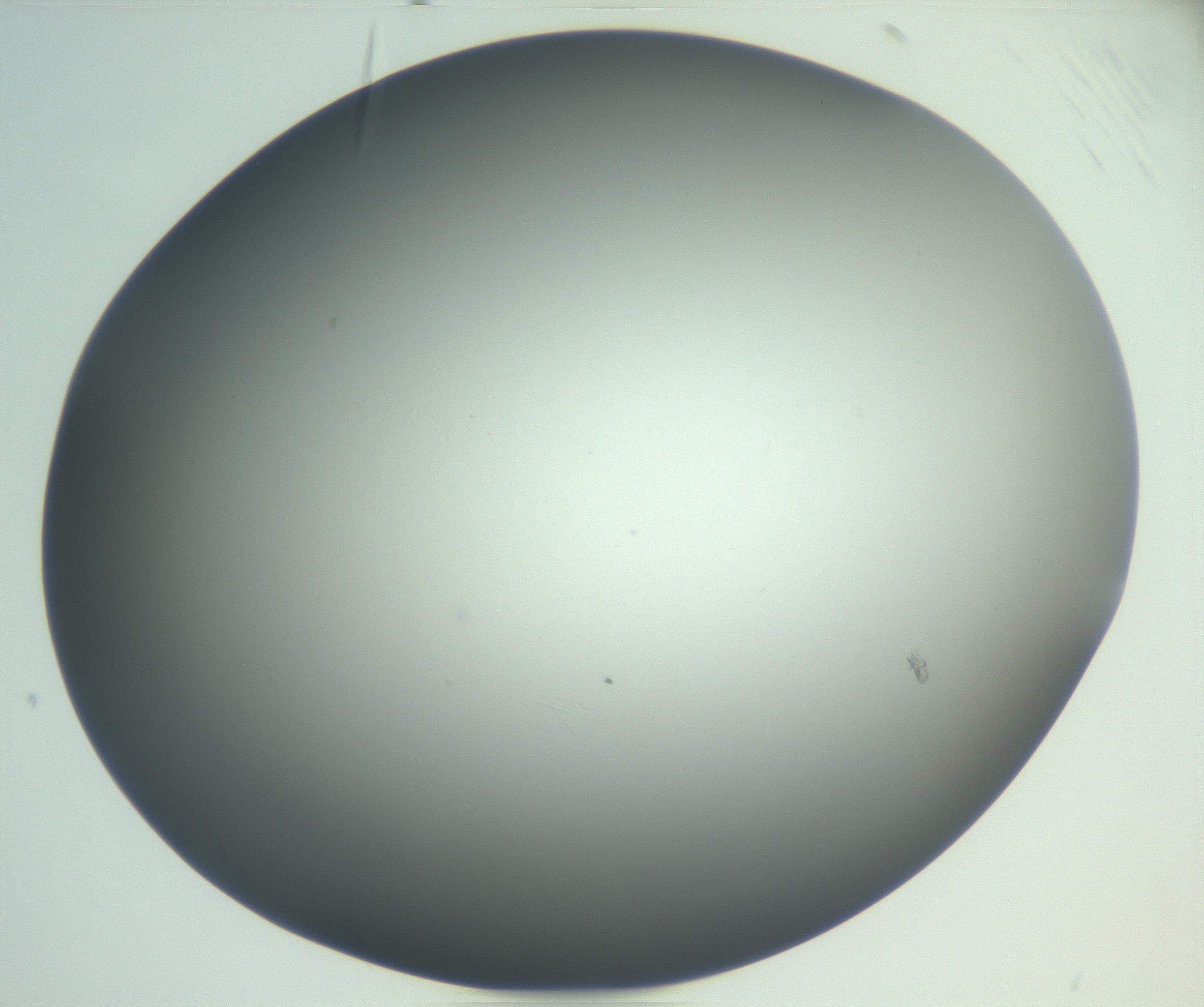 RI01_03_000_0212_Proj1_Clon1_MC_0000MC102865_003_161022_02_08_02_00_99_002_001_RAI.jpg