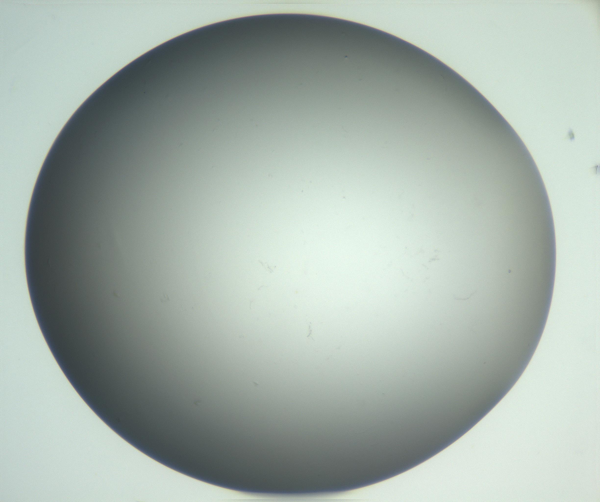 RI01_03_000_0212_Proj1_Clon1_MC_0000MC102865_003_161022_03_01_02_00_99_002_001_RAI.jpg