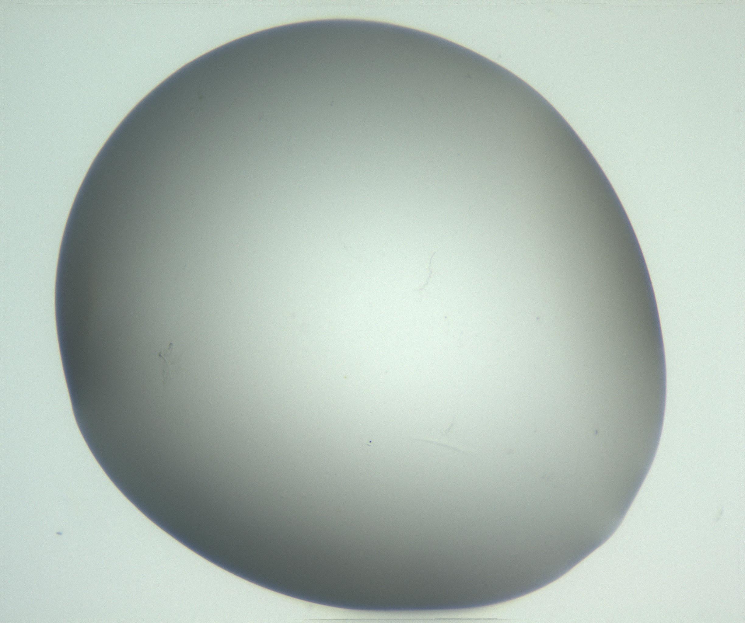 RI01_03_000_0212_Proj1_Clon1_MC_0000MC102865_003_161022_03_02_01_00_99_002_001_RAI.jpg
