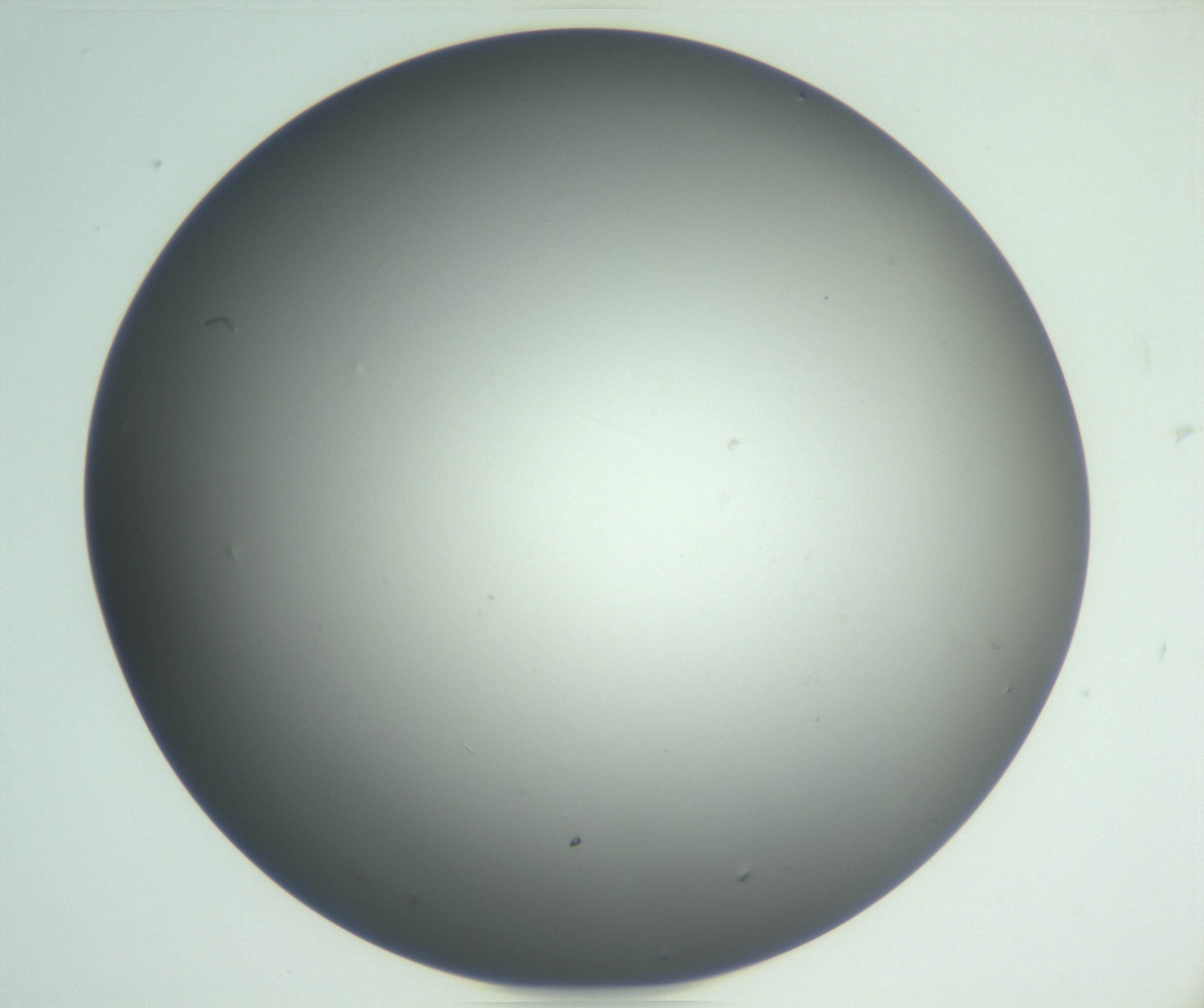 RI01_03_000_0212_Proj1_Clon1_MC_0000MC102865_003_161022_03_02_02_00_99_002_001_RAI.jpg