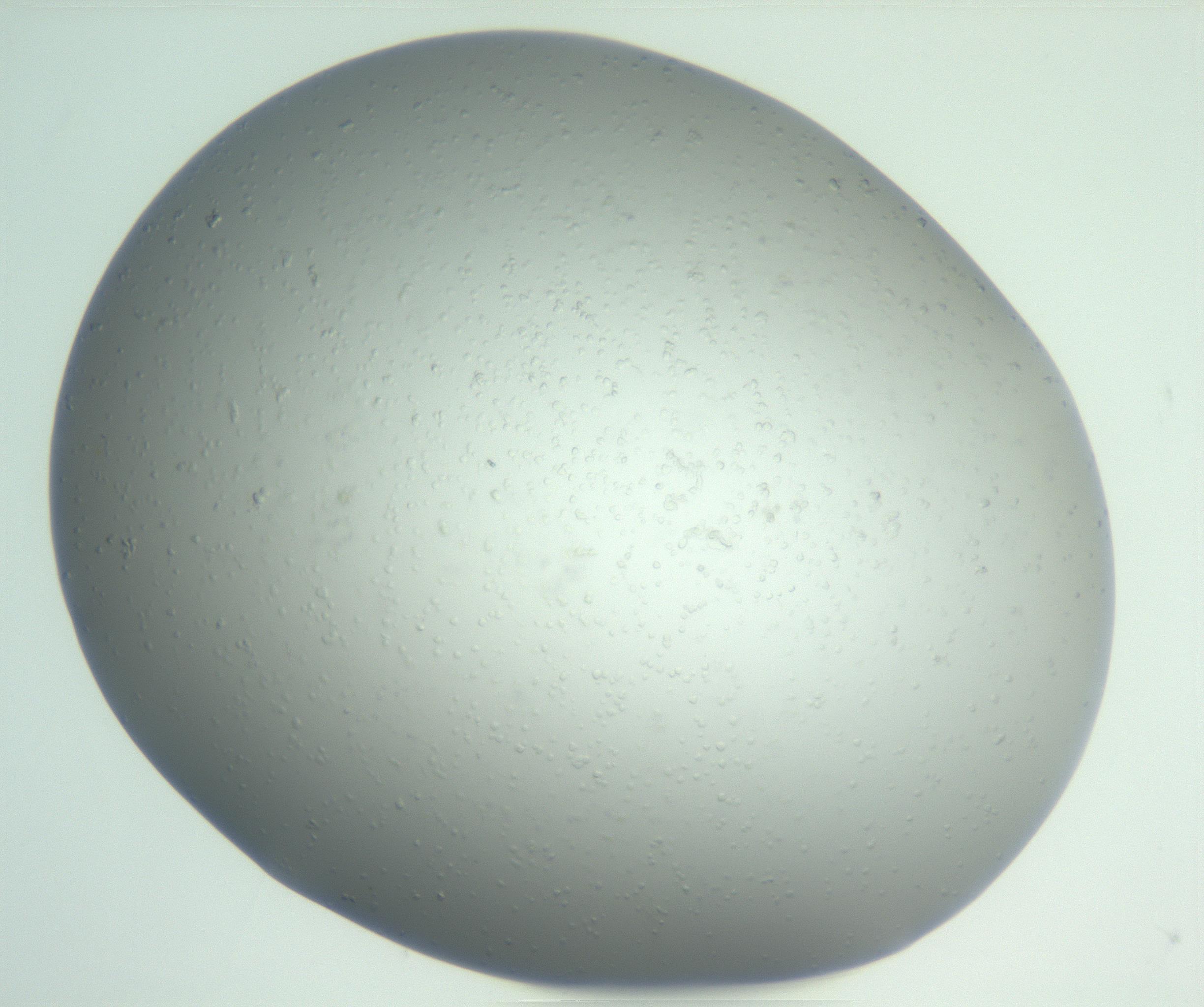 RI01_03_000_0212_Proj1_Clon1_MC_0000MC102865_003_161022_03_03_01_00_99_002_001_RAI.jpg