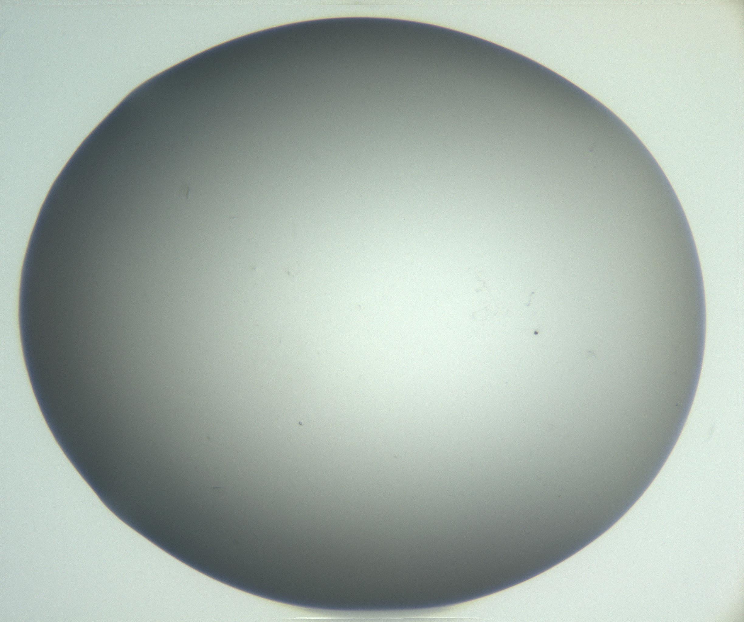 RI01_03_000_0212_Proj1_Clon1_MC_0000MC102865_003_161022_03_03_02_00_99_002_001_RAI.jpg
