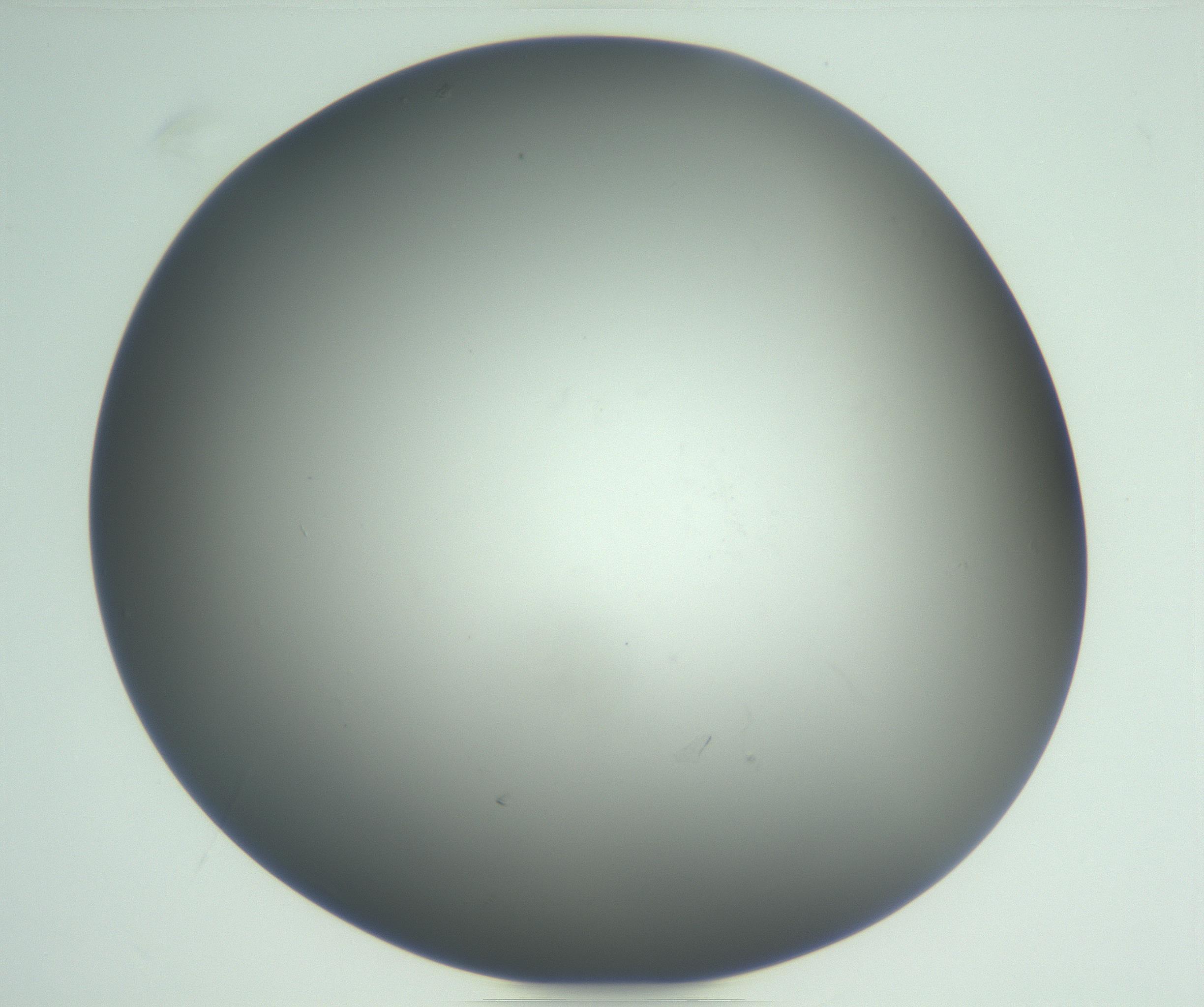 RI01_03_000_0212_Proj1_Clon1_MC_0000MC102865_003_161022_03_06_01_00_99_002_001_RAI.jpg