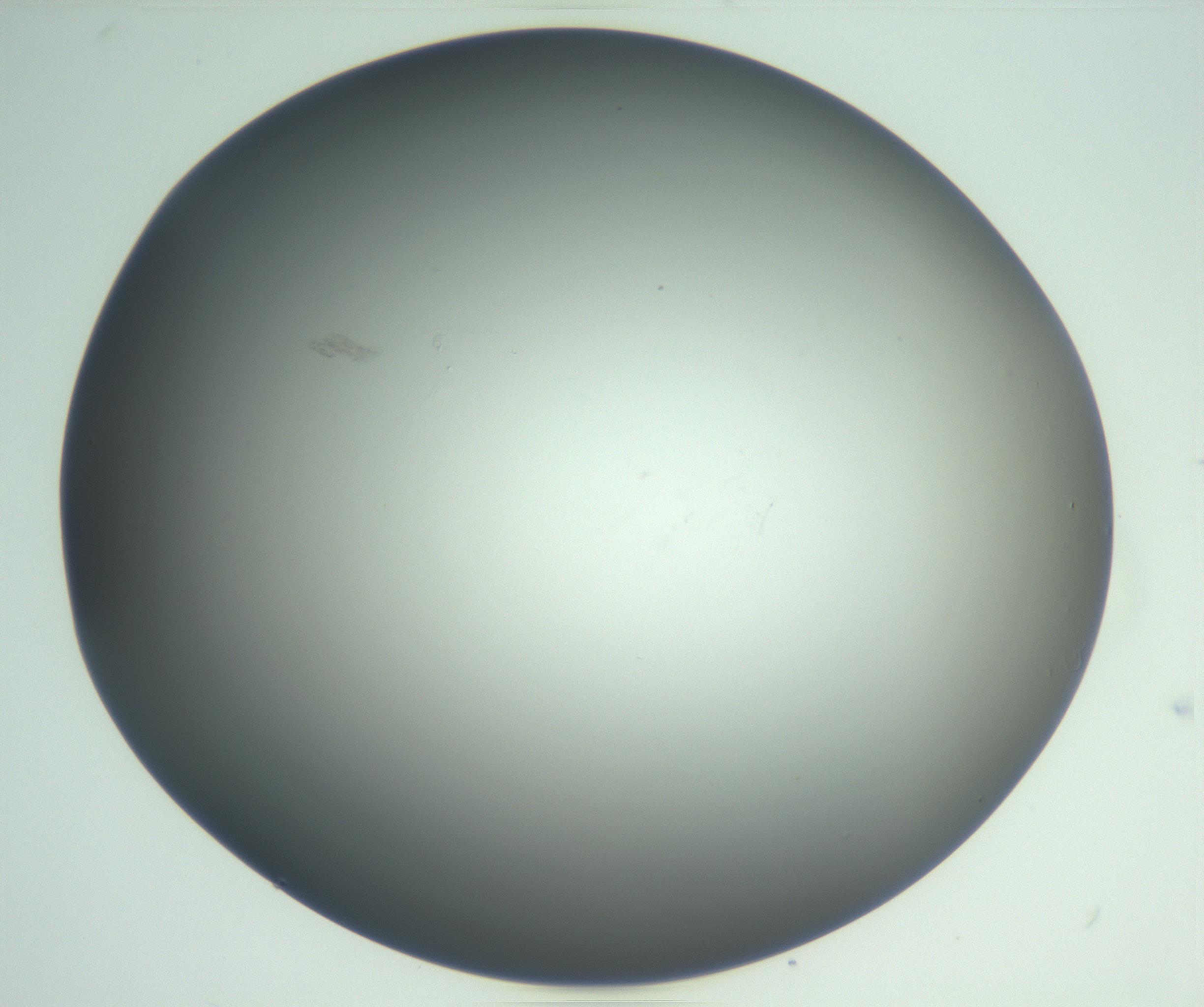 RI01_03_000_0212_Proj1_Clon1_MC_0000MC102865_003_161022_03_06_02_00_99_002_001_RAI.jpg