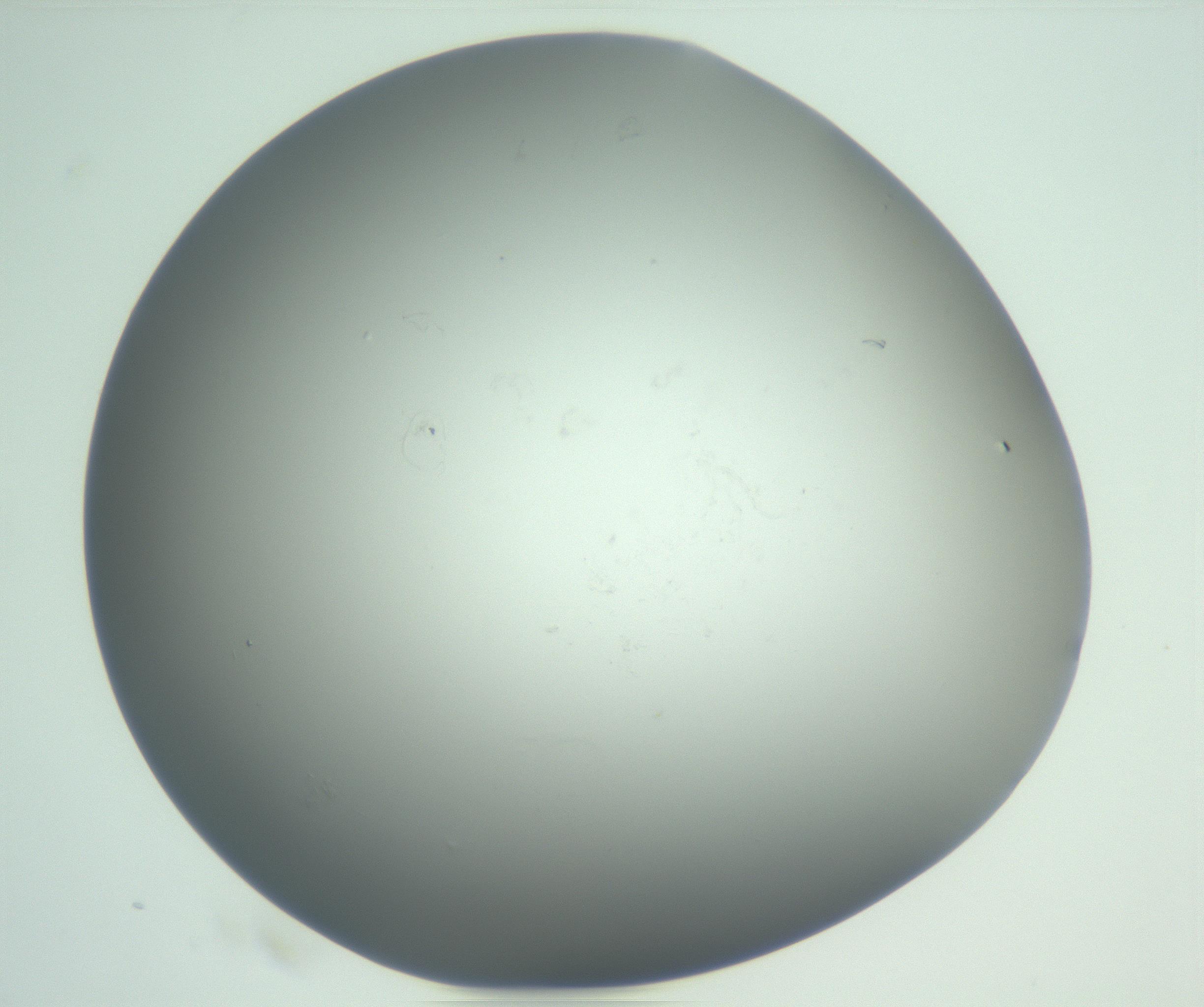 RI01_03_000_0212_Proj1_Clon1_MC_0000MC102865_003_161022_03_07_01_00_99_002_001_RAI.jpg
