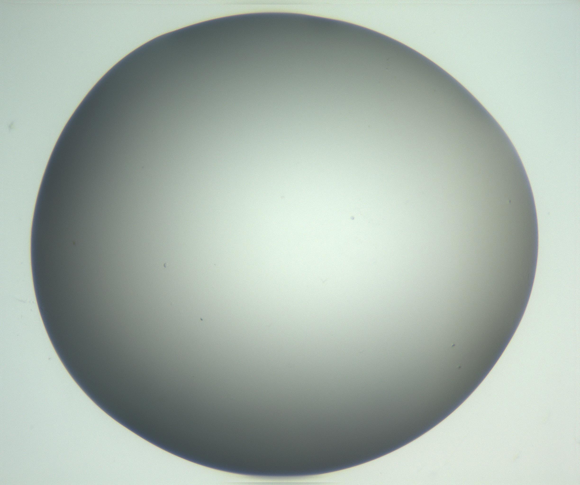 RI01_03_000_0212_Proj1_Clon1_MC_0000MC102865_003_161022_03_07_02_00_99_002_001_RAI.jpg
