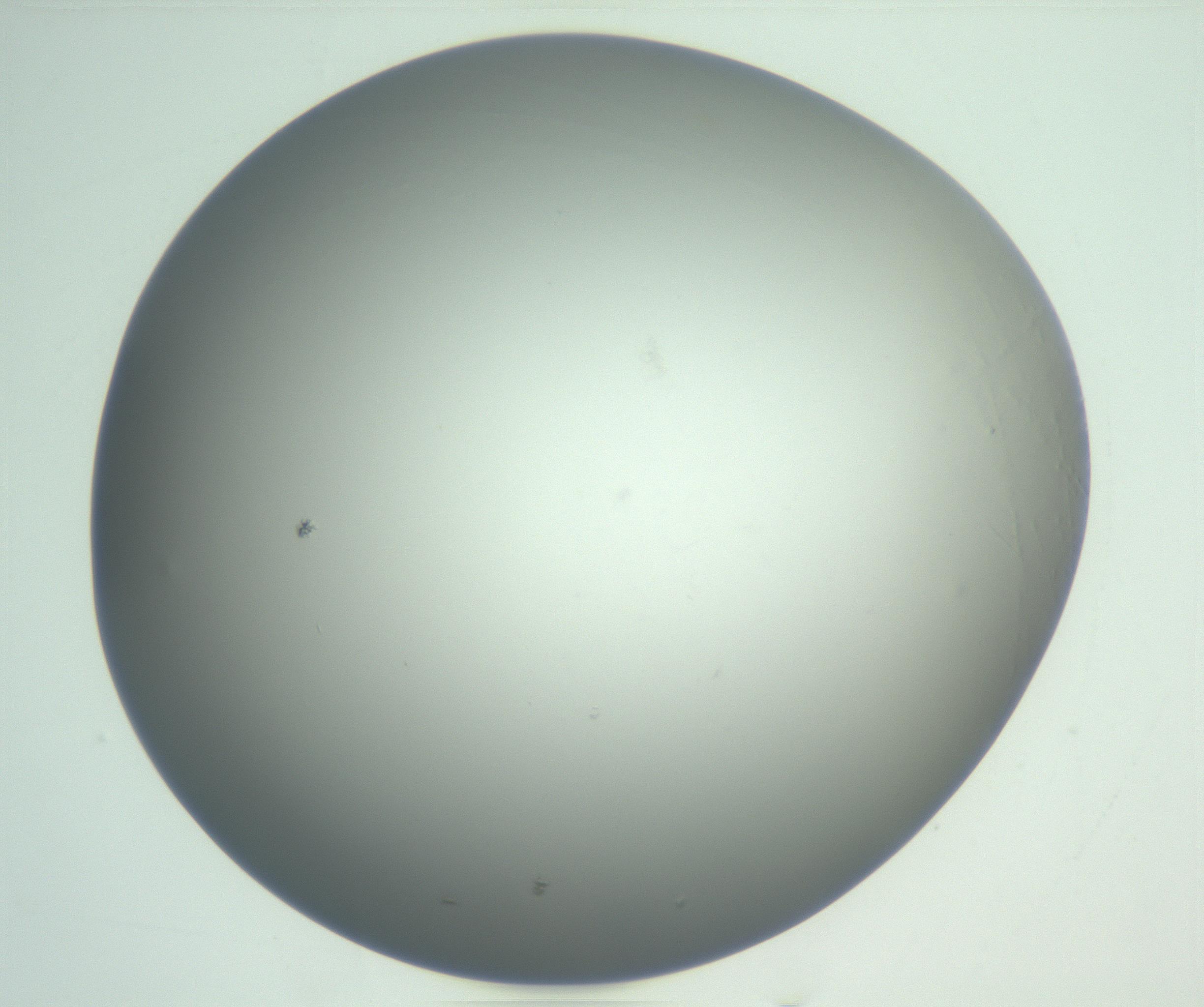 RI01_03_000_0212_Proj1_Clon1_MC_0000MC102865_003_161022_03_08_01_00_99_002_001_RAI.jpg