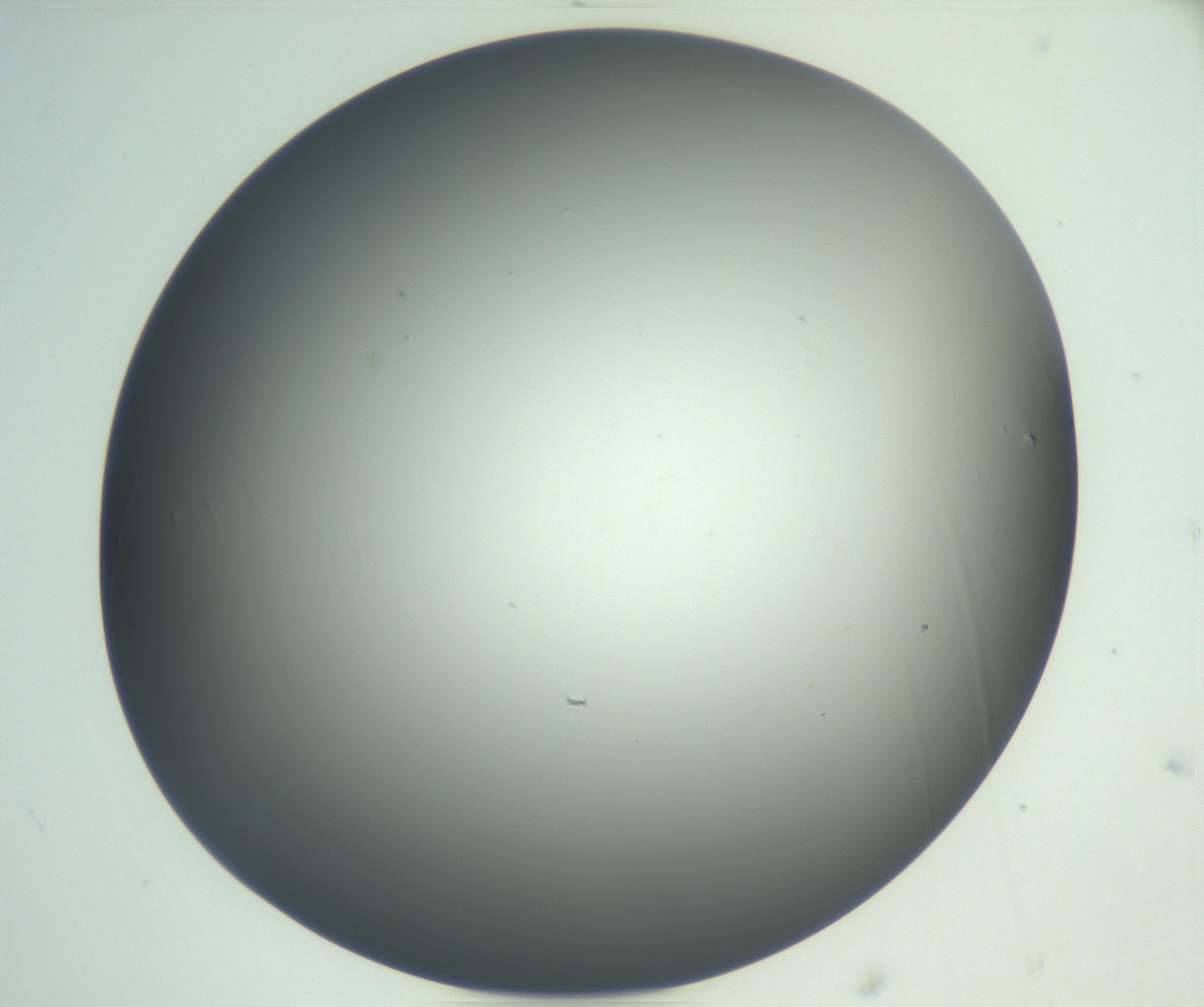 RI01_03_000_0212_Proj1_Clon1_MC_0000MC102865_003_161022_03_08_02_00_99_002_001_RAI.jpg