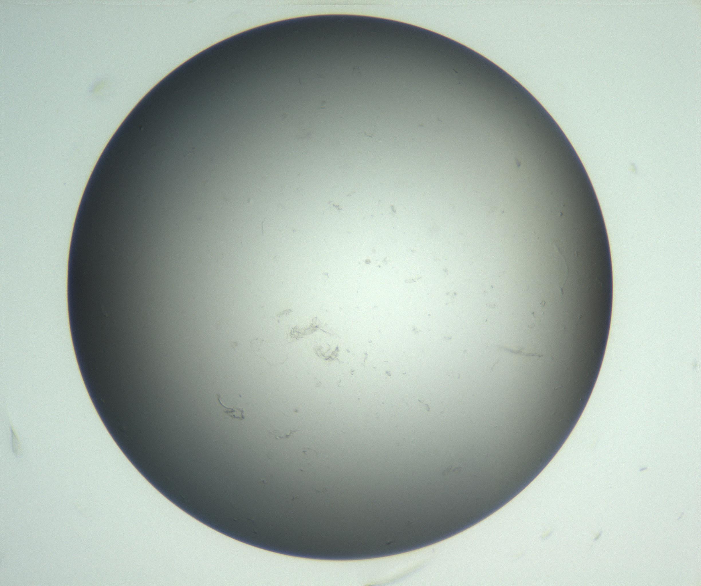 RI01_03_000_0212_Proj1_Clon1_MC_0000MC102865_003_161022_04_01_02_00_99_002_001_RAI.jpg