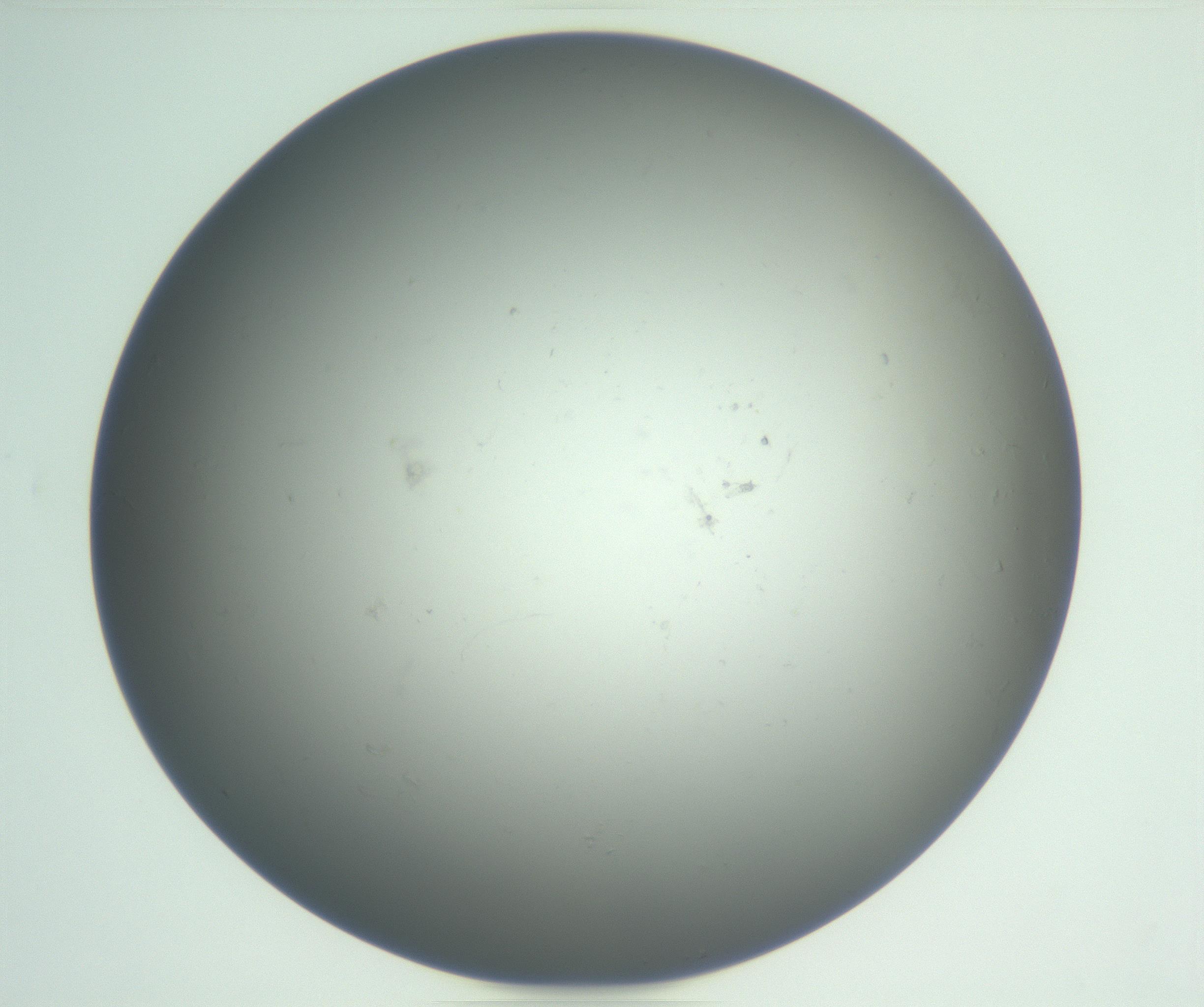 RI01_03_000_0212_Proj1_Clon1_MC_0000MC102865_003_161022_04_03_01_00_99_002_001_RAI.jpg