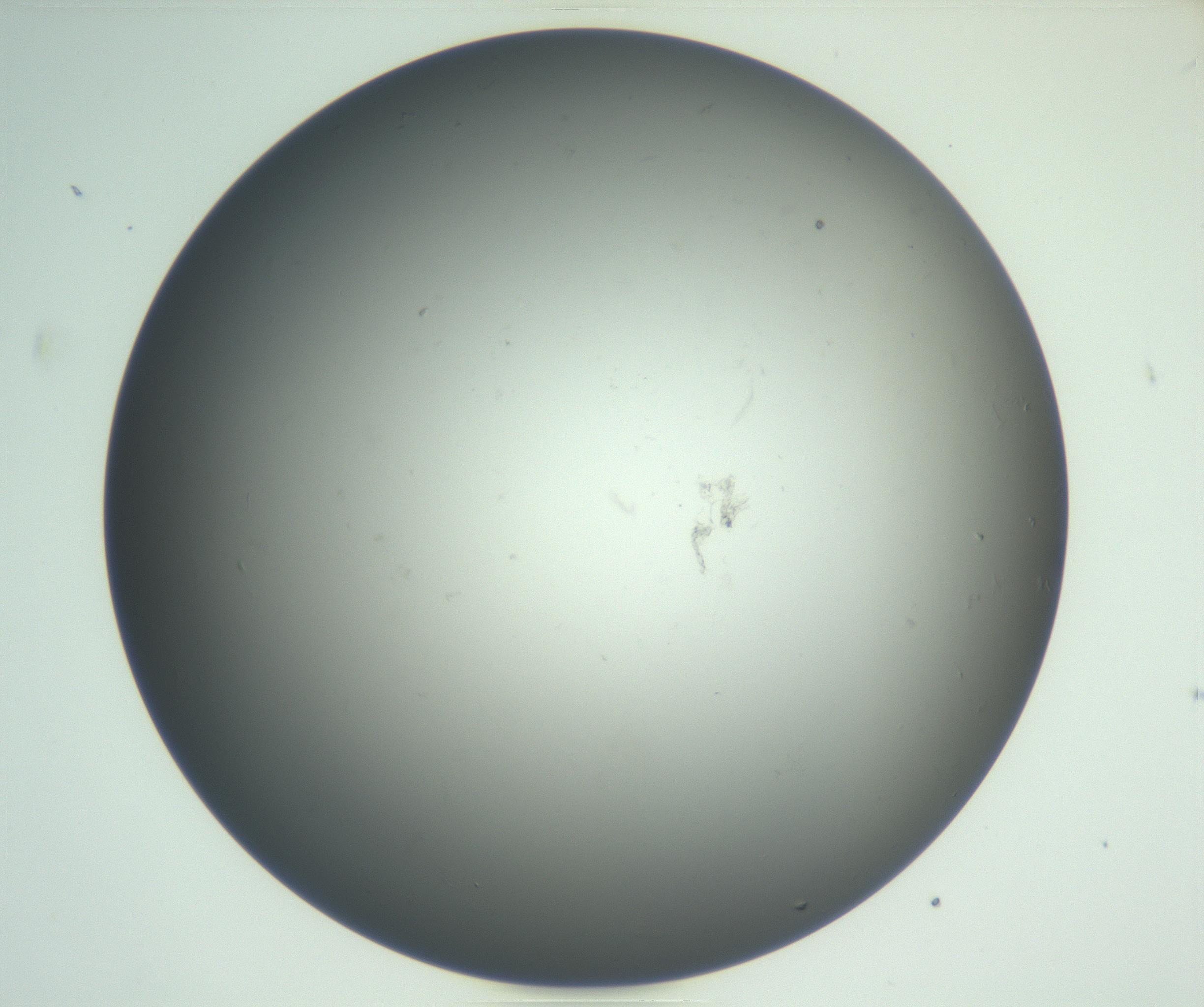 RI01_03_000_0212_Proj1_Clon1_MC_0000MC102865_003_161022_04_03_02_00_99_002_001_RAI.jpg
