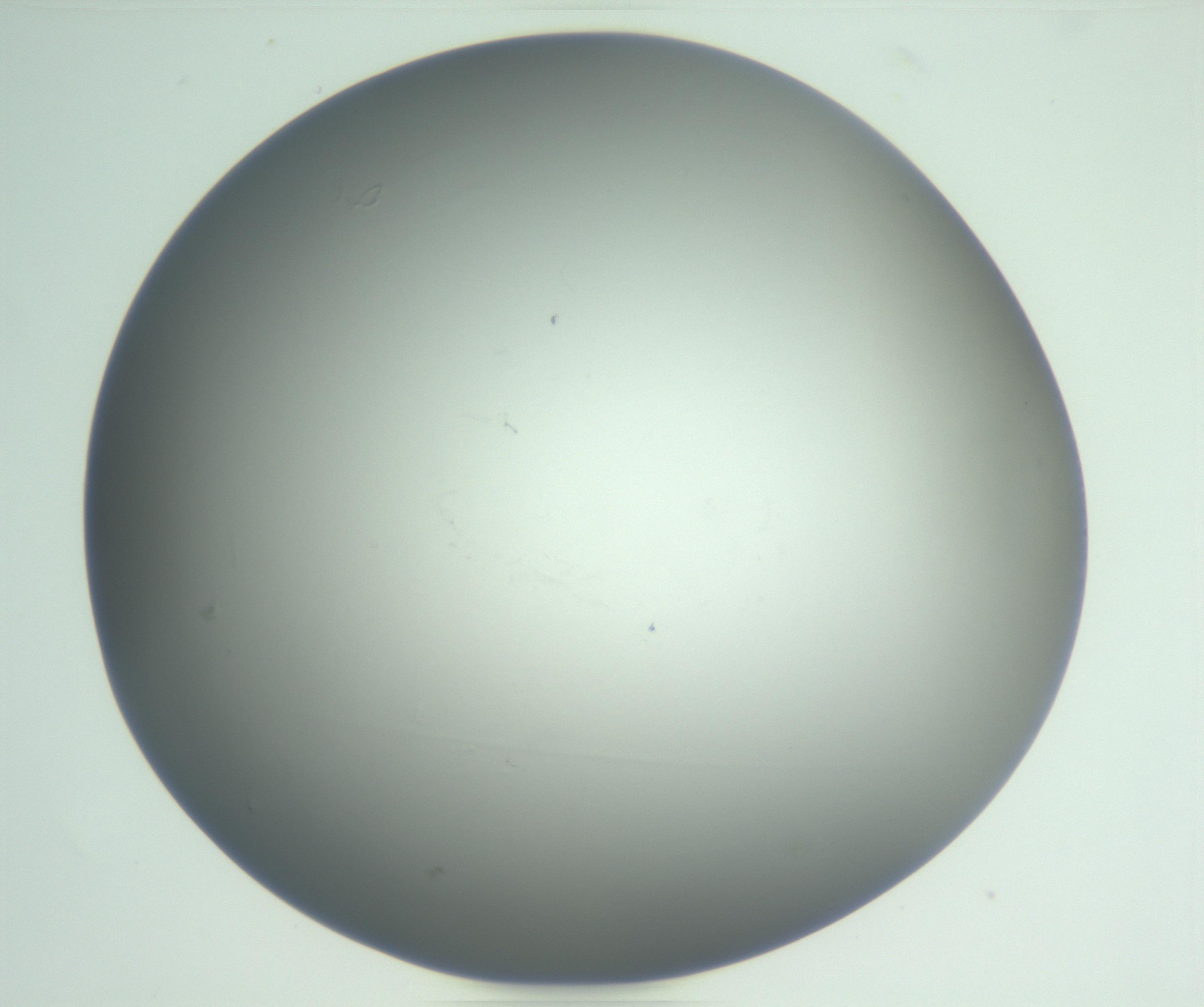 RI01_03_000_0212_Proj1_Clon1_MC_0000MC102865_003_161022_04_05_01_00_99_002_001_RAI.jpg