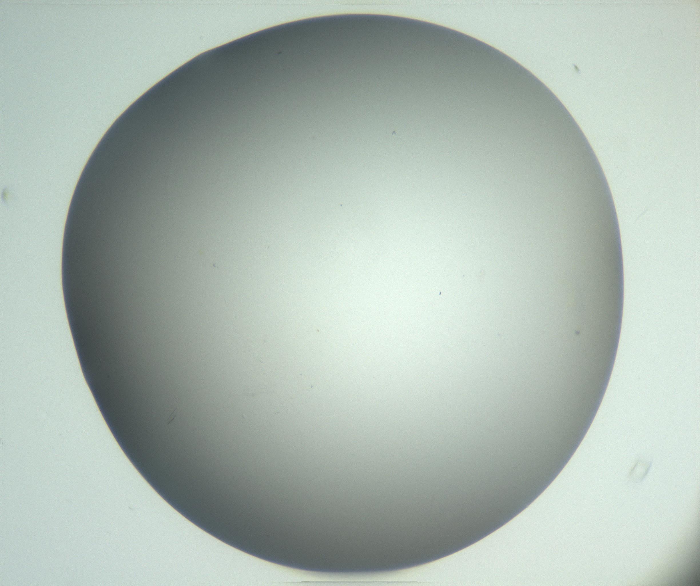 RI01_03_000_0212_Proj1_Clon1_MC_0000MC102865_003_161022_04_05_02_00_99_002_001_RAI.jpg